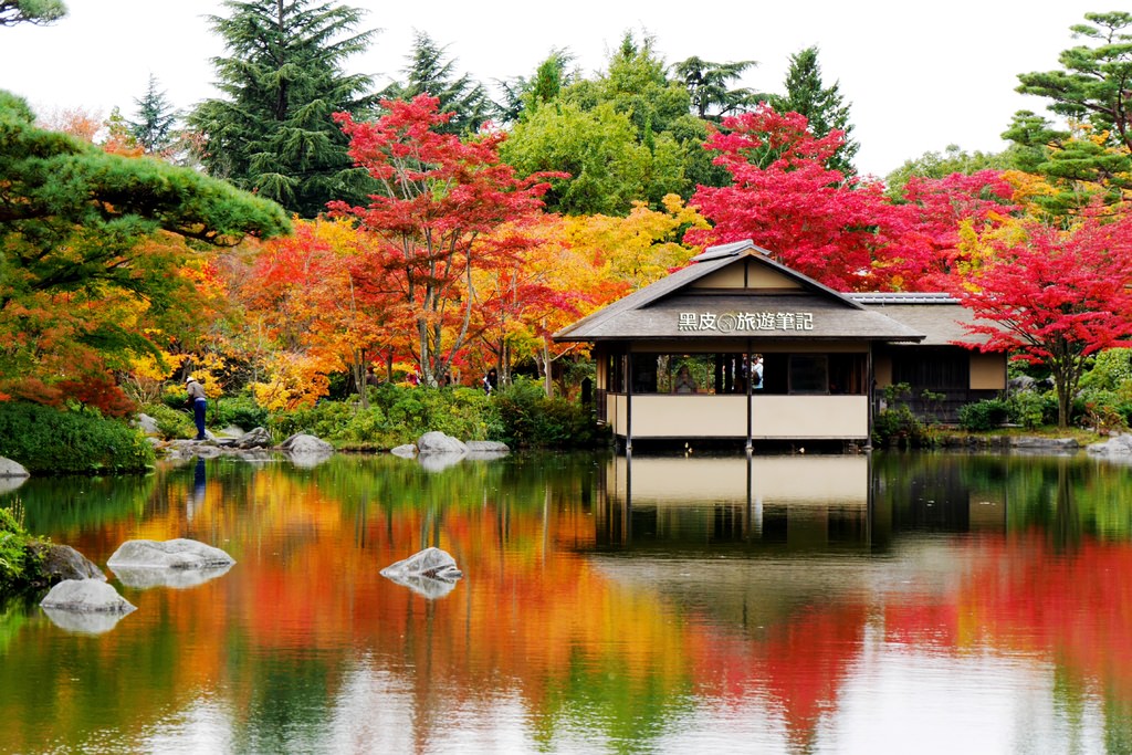 【日本※景點】國營昭和紀念公園  讓時間停留在夢境裡 @黑皮的旅遊筆記