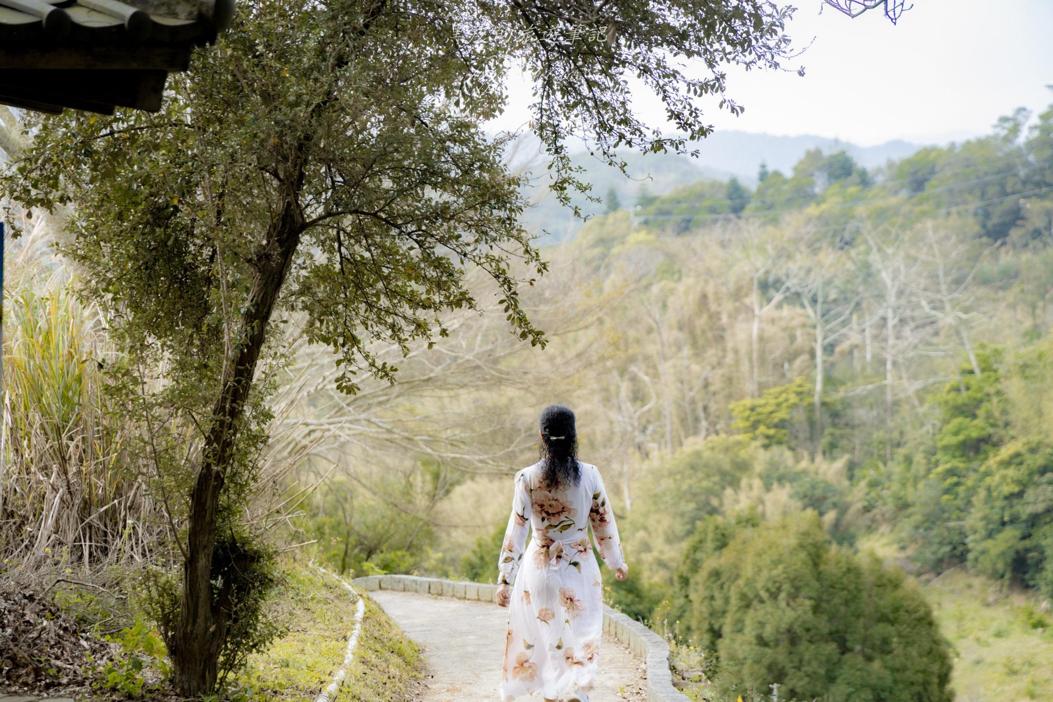 龍潭大北坑魯冰花｜全台最大的魯冰花故鄉，灑落山坡的黃色精靈