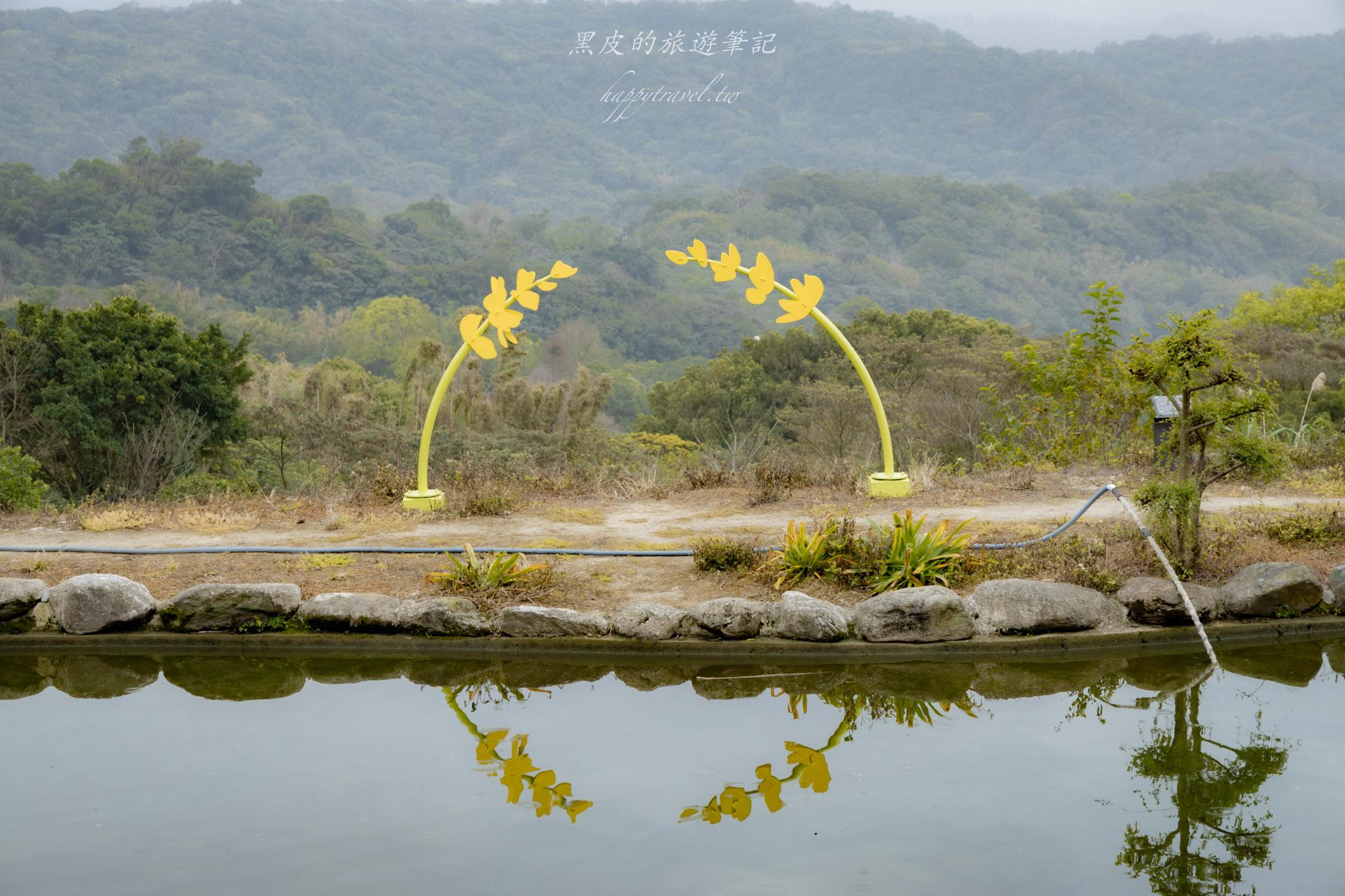 龍潭大北坑魯冰花｜全台最大的魯冰花故鄉，灑落山坡的黃色精靈