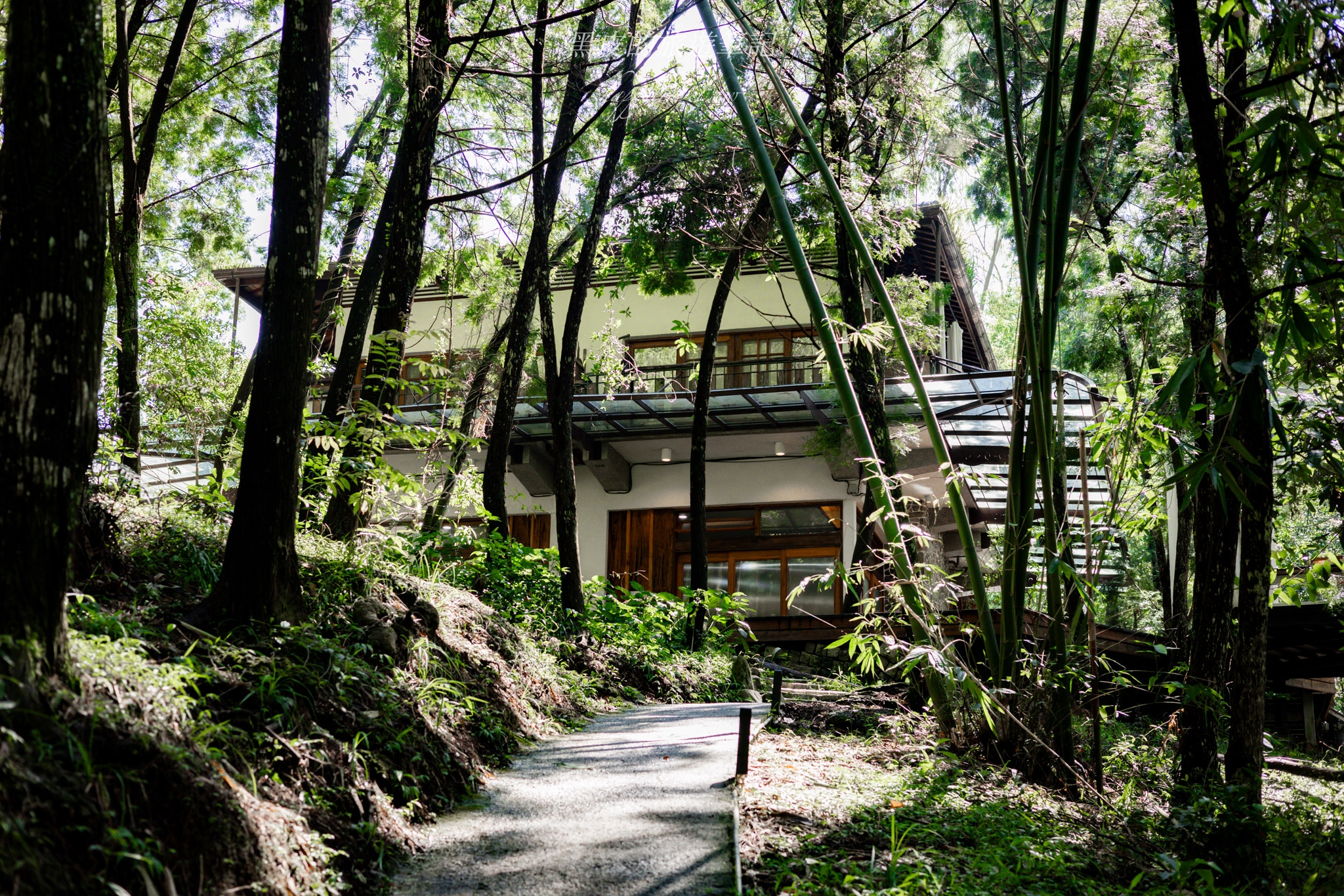 南投住宿。瘋之谷（九樹森林二館）｜野生森林秘境玻璃屋，以天地為家，入睡無敵星空吊床