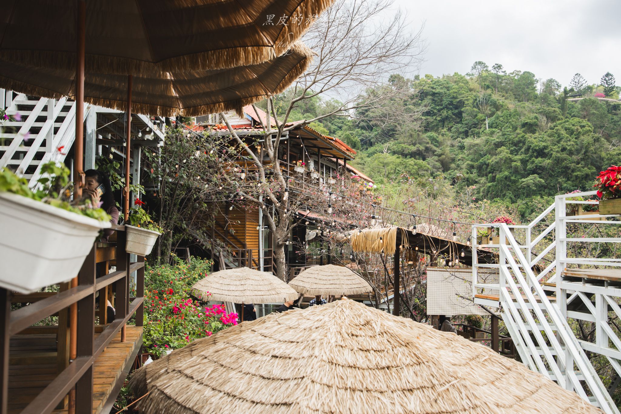 森鄰水岸景觀咖啡館|被山巒圍繞的河谷景觀咖啡廳,享受著南洋氣息的旅行 52 森鄰水岸景觀咖啡館