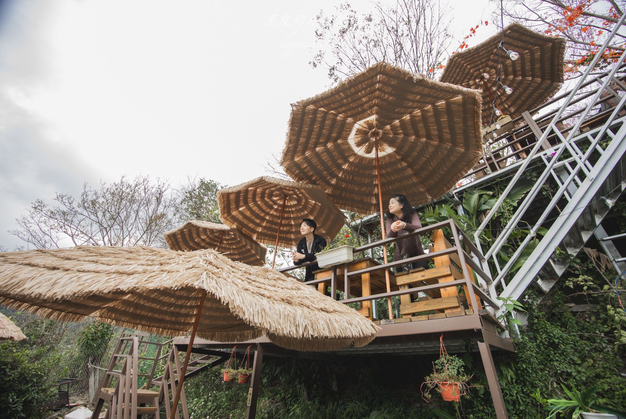 森鄰水岸景觀咖啡館|被山巒圍繞的河谷景觀咖啡廳,享受著南洋氣息的旅行 31 森鄰水岸景觀咖啡館