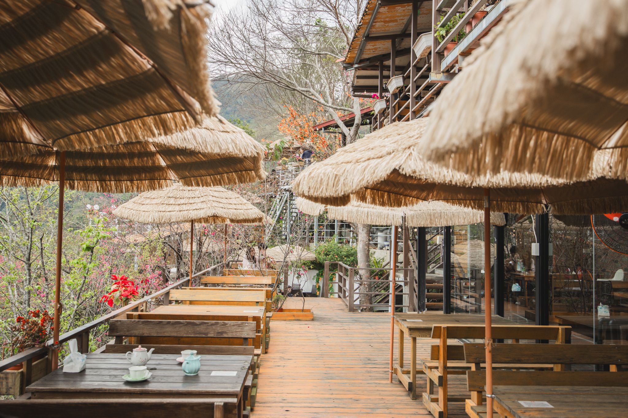 森鄰水岸景觀咖啡館|被山巒圍繞的河谷景觀咖啡廳,享受著南洋氣息的旅行 46 森鄰水岸景觀咖啡館