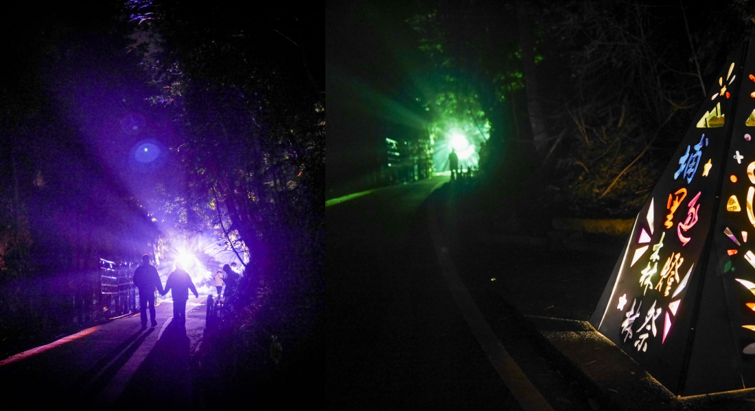 南投景點。2022埔里森林逐燈祭｜與森林結合的埔里燈會，來一場冒險的燈光藝術之旅