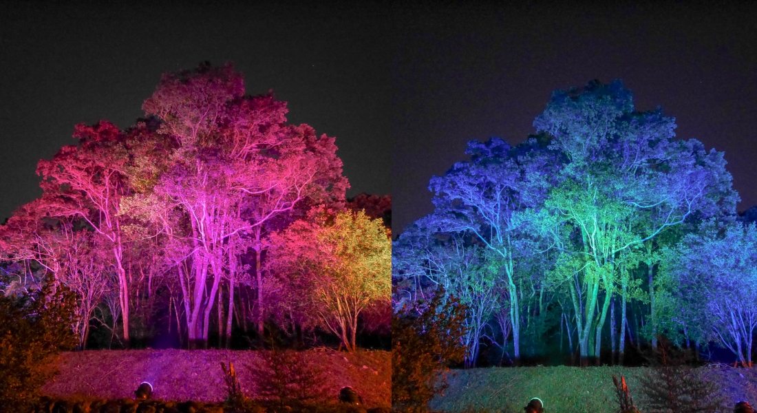 南投景點。2024埔里森林逐燈祭｜與森林結合的埔里燈會，來一場冒險的燈光藝術之旅，2024埔里燈會/2024南投燈會