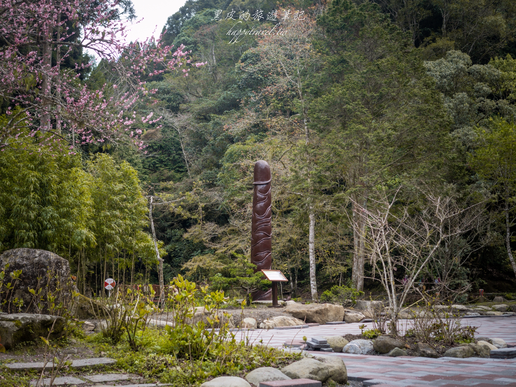 南投景點。杉林溪森林生態渡假園區｜全台灣最多芬多精的森林步道，碧綠的溪湖、壯闊的樹海，南投行程推薦 @黑皮的旅遊筆記
