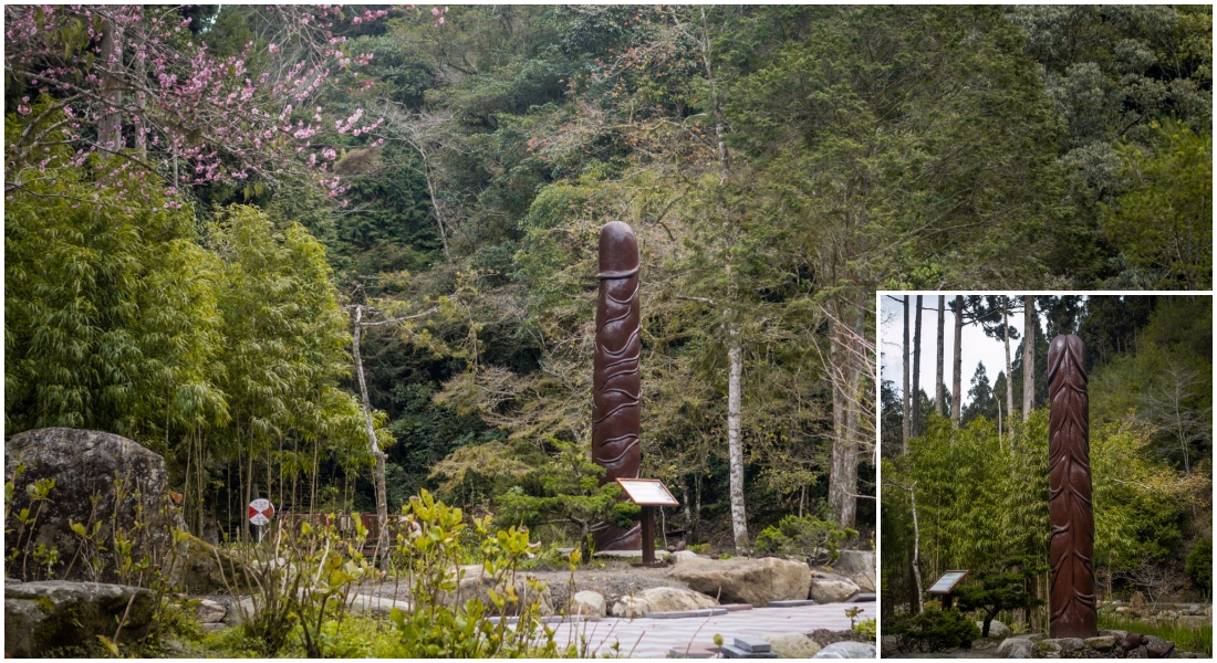 南投景點。杉林溪森林生態渡假園區｜全台灣最多芬多精的森林步道，碧綠的溪湖、壯闊的樹海，南投行程推薦