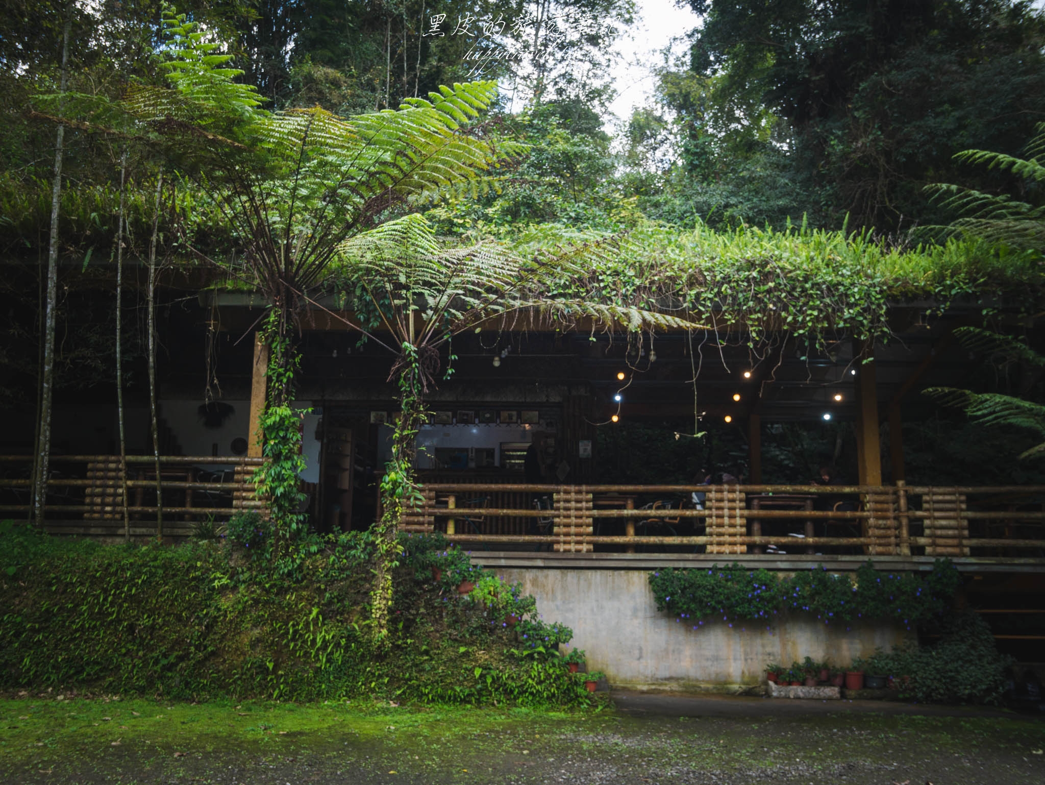 南投景點。竹亭咖啡｜隱身竹林小瀑布旁的山間咖啡廳，鹿谷景點推薦