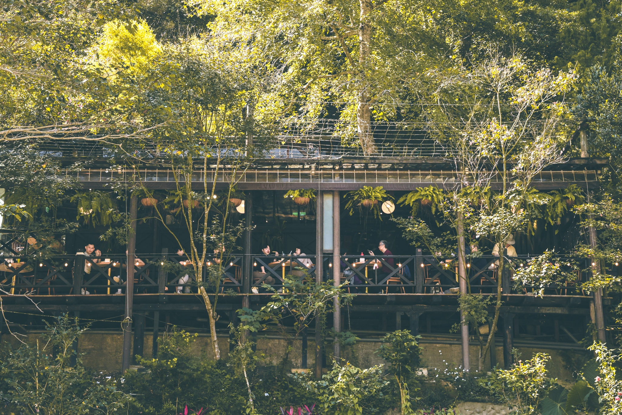 苗栗景點。三丘景觀餐廳 3 Hills café｜隱匿山林間的熱帶雨林風咖啡廳，激推絕美森林系景點，三義咖啡廳 @黑皮的旅遊筆記