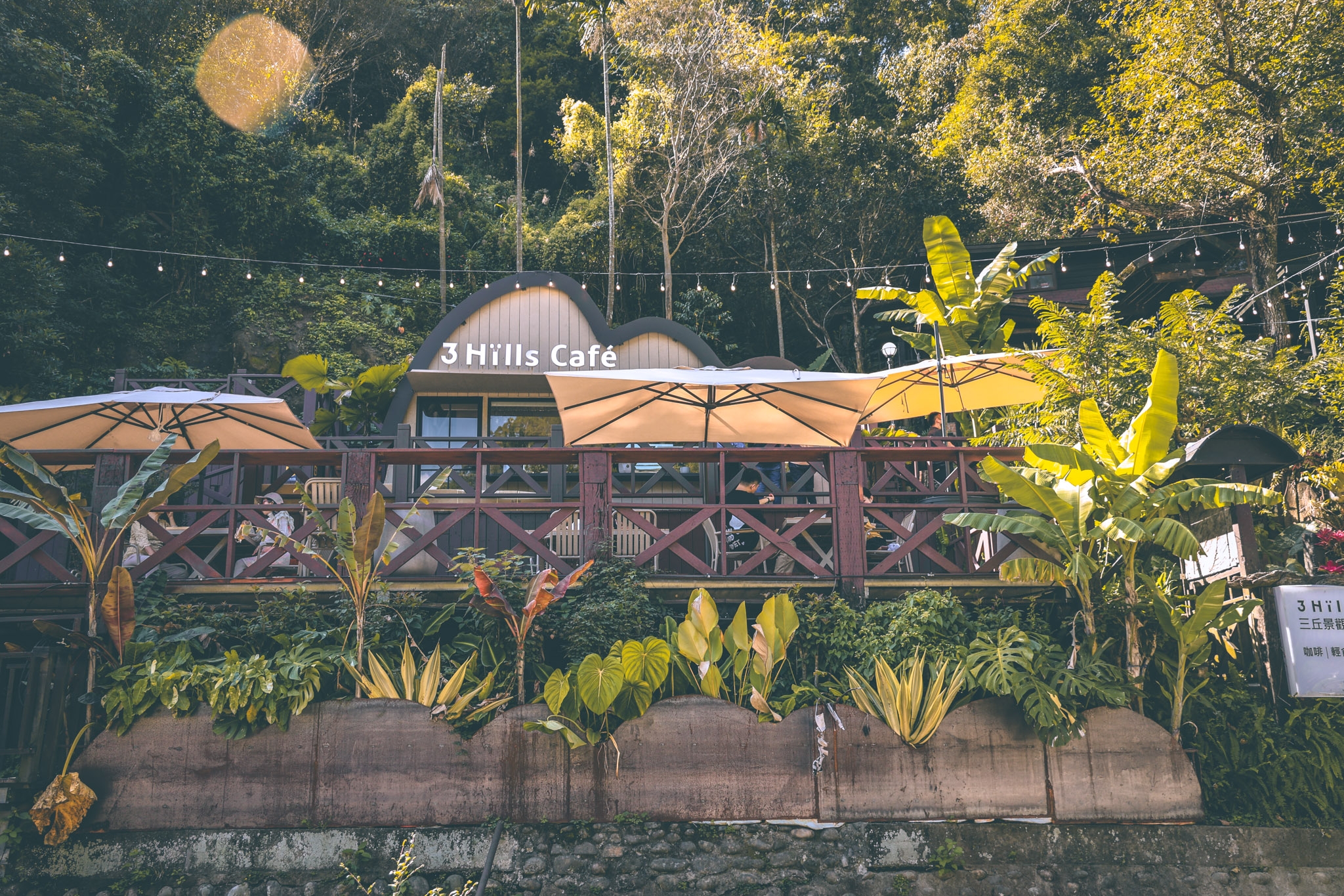 苗栗景點。三丘景觀餐廳 3 Hills café｜隱匿山林間的熱帶雨林風咖啡廳，激推絕美森林系景點，三義咖啡廳