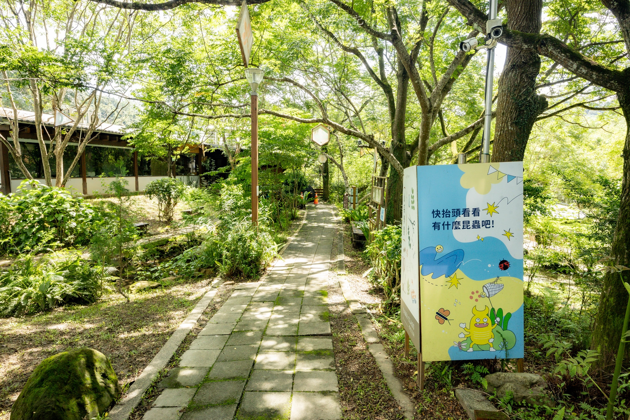 埔里景點【桃米親水公園】2024埔里親水節，山林系親水公園