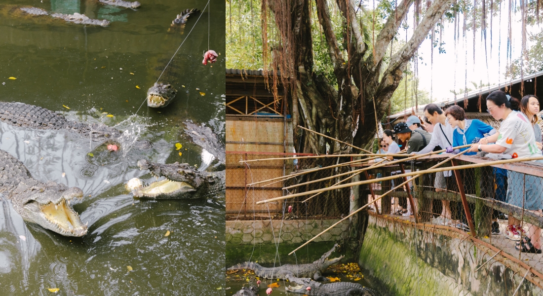 湄公河美食餐廳 『khu du lich con phung ben tre &#8211; Con Phung』體驗釣鱷魚還有品味傳說站立的魚 @黑皮的旅遊筆記