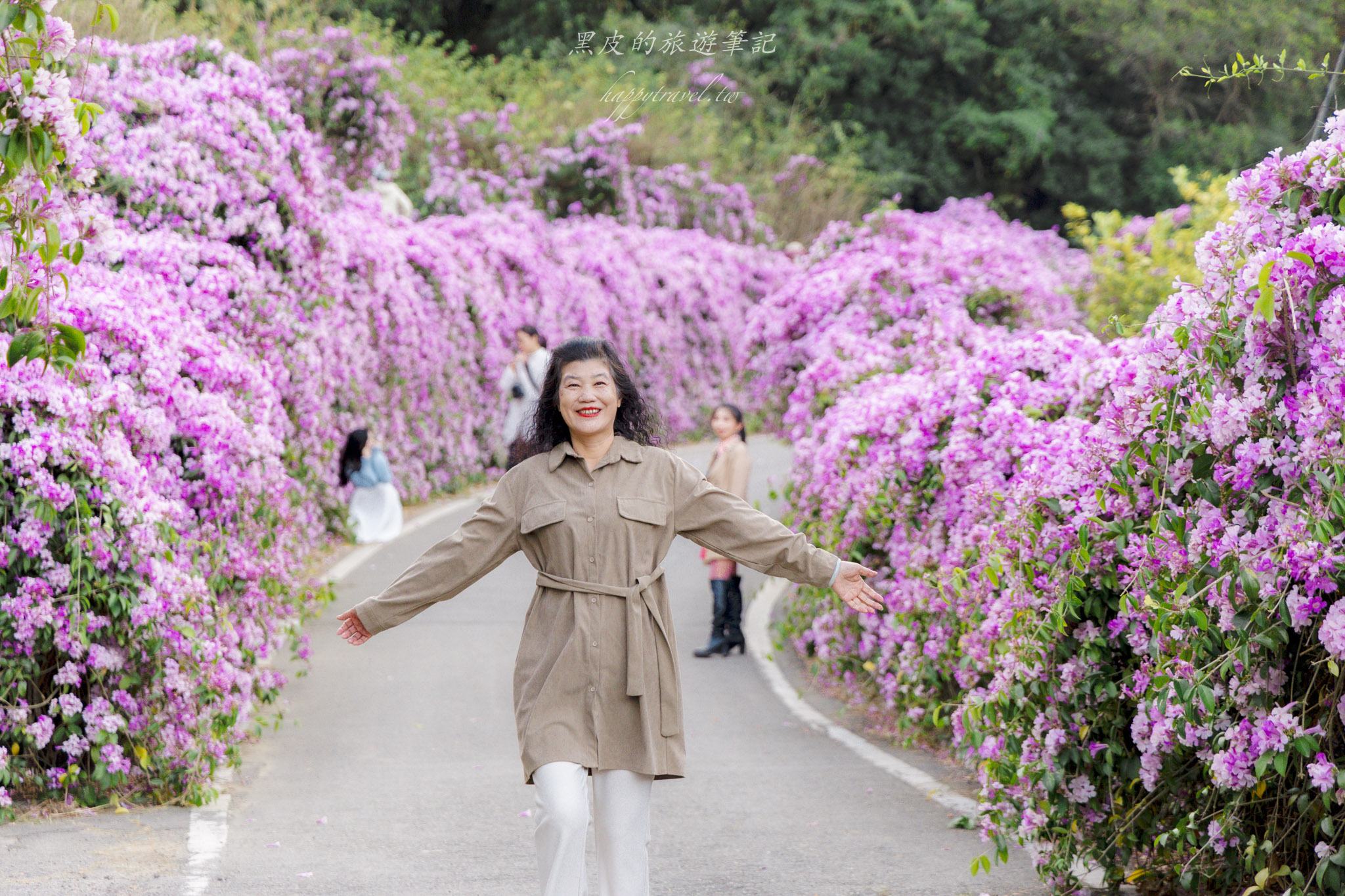 苗栗通霄蒜香藤