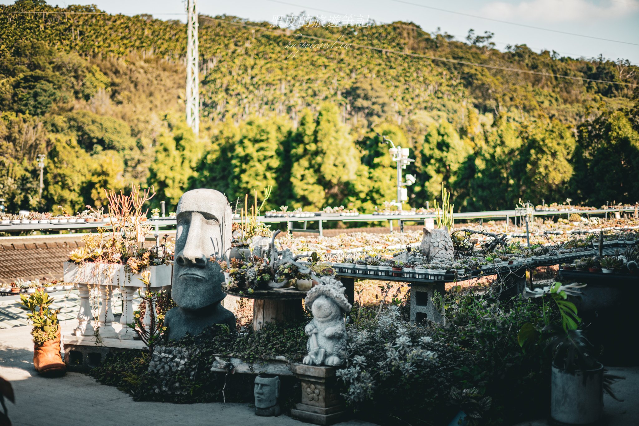 繞山花（三和青創基地）｜多肉植物秘境，龍潭半日遊親子景點