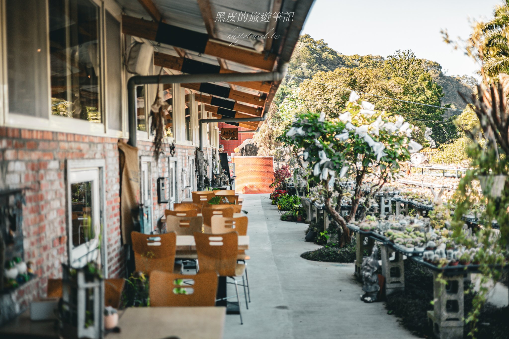 繞山花（三和青創基地）｜多肉植物秘境，龍潭半日遊親子景點