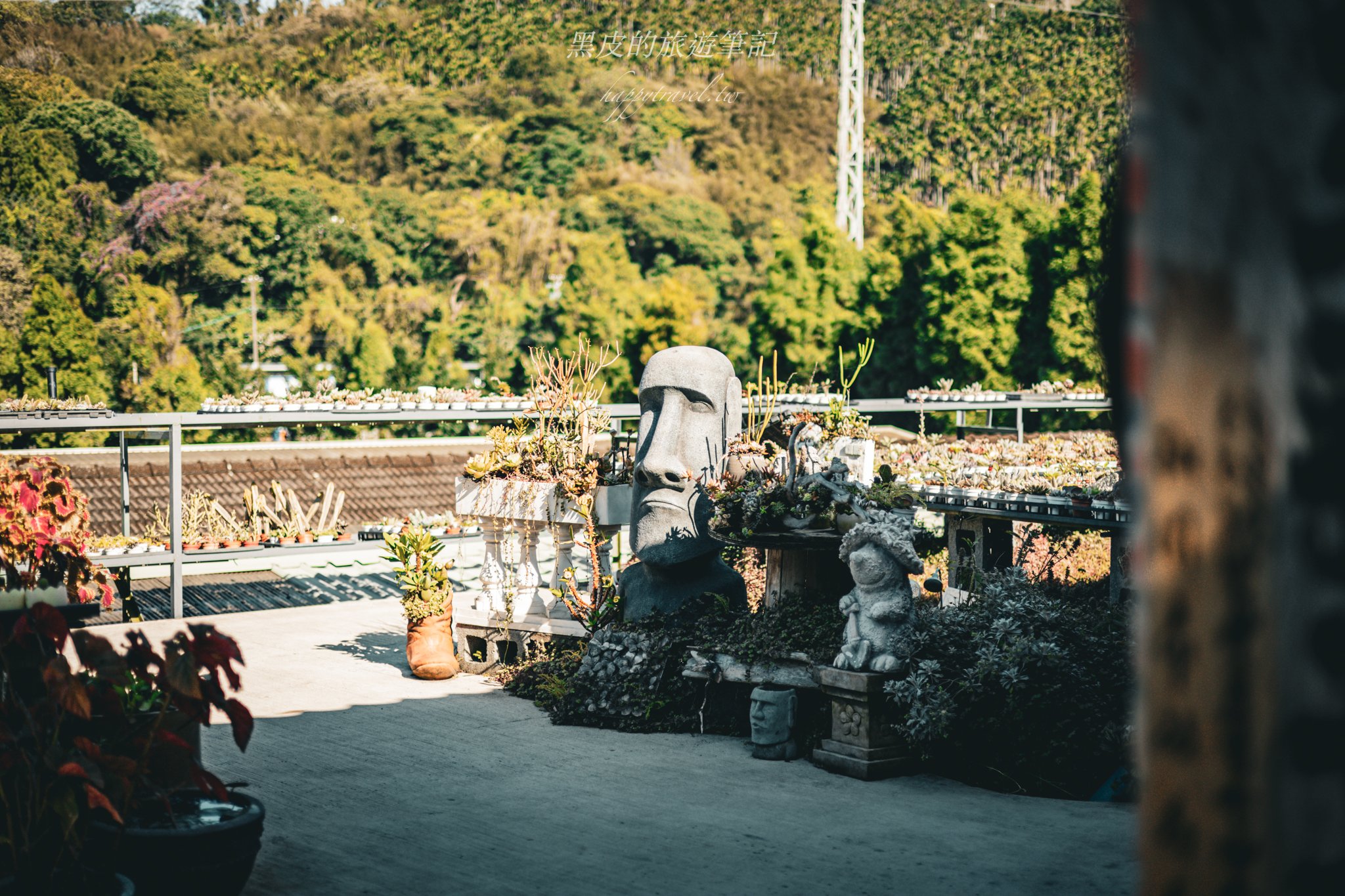 繞山花（三和青創基地）｜多肉植物秘境，龍潭半日遊親子景點