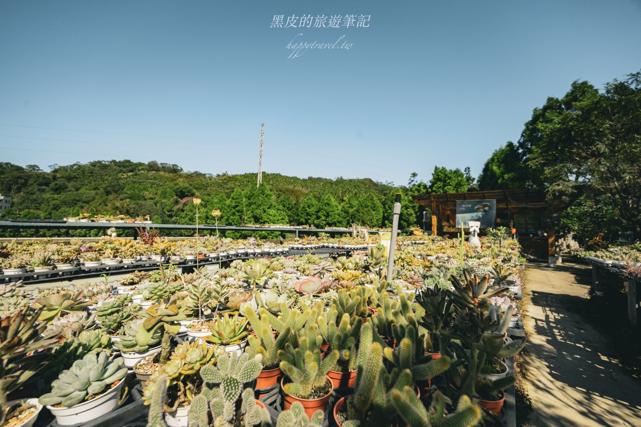 繞山花（三和青創基地）｜多肉植物秘境，龍潭半日遊親子景點