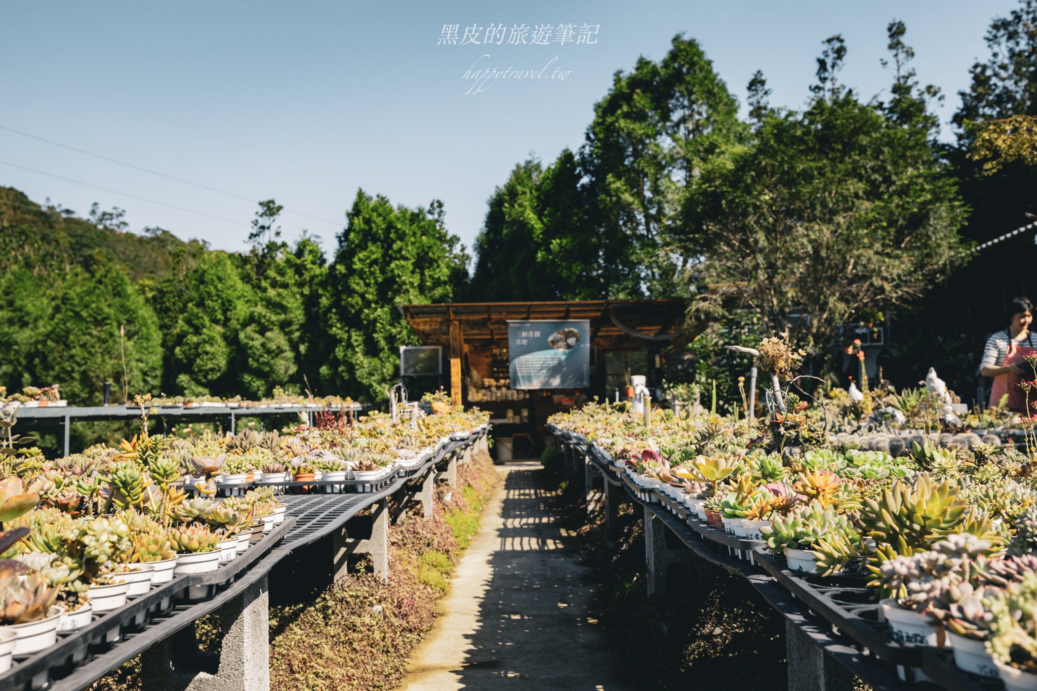 繞山花（三和青創基地）｜多肉植物秘境，龍潭半日遊親子景點