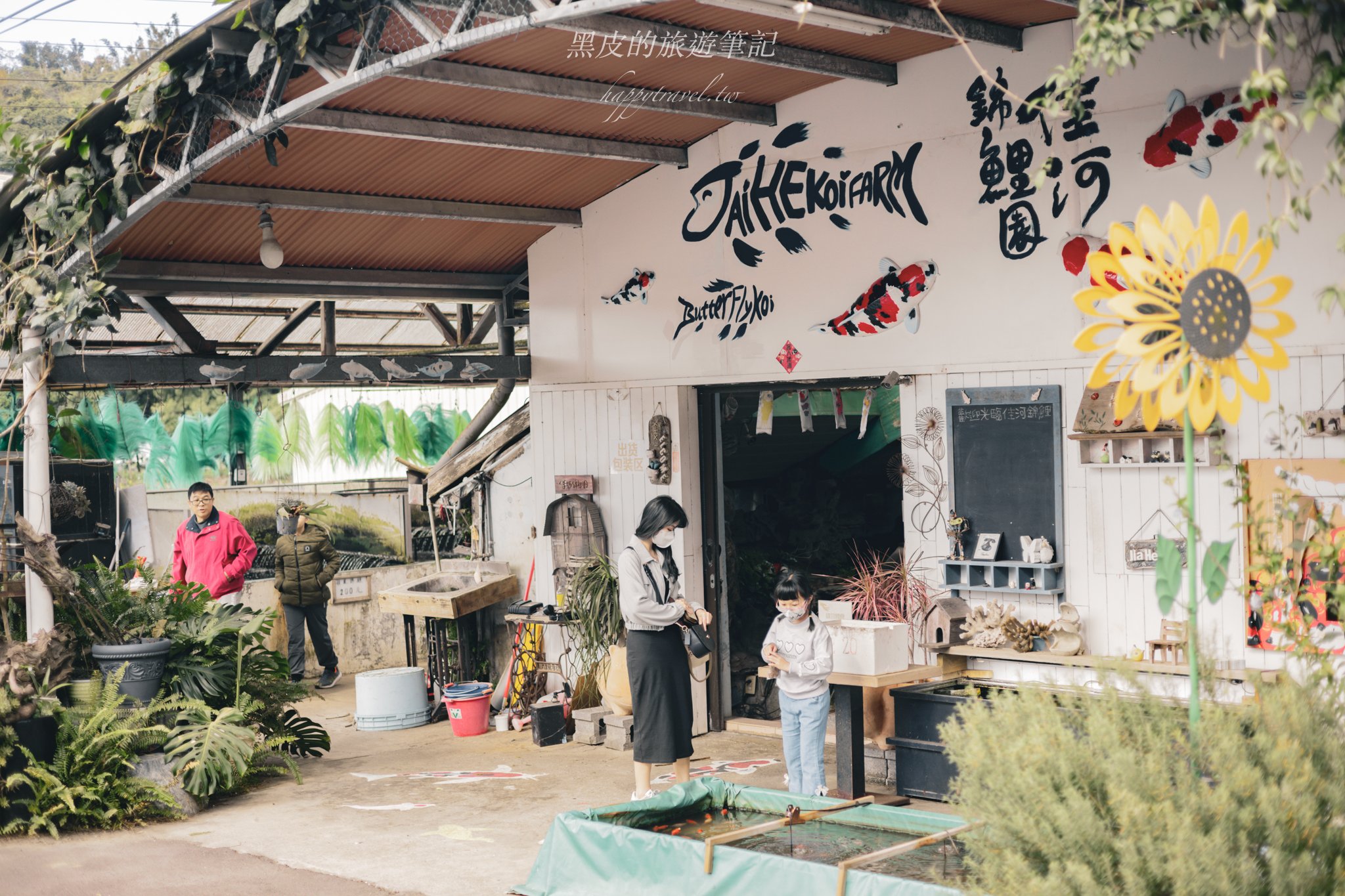 繞山花（三和青創基地）｜多肉植物秘境，龍潭半日遊親子景點