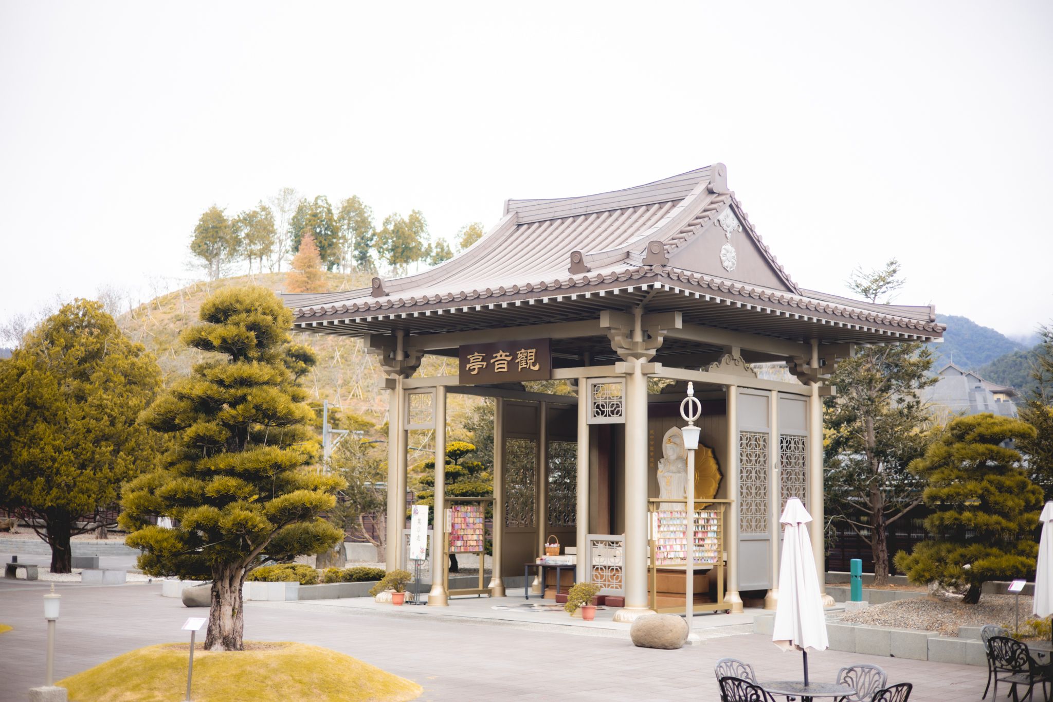 中台禪寺-普台公園｜七成旅人都不知道的夢幻落羽松秘境（免門票）。埔里景點/落羽松景點