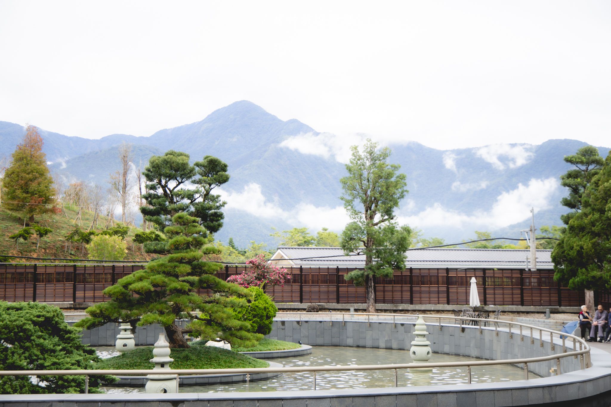 中台禪寺-普台公園｜七成旅人都不知道的夢幻落羽松秘境（免門票）。埔里景點/落羽松景點