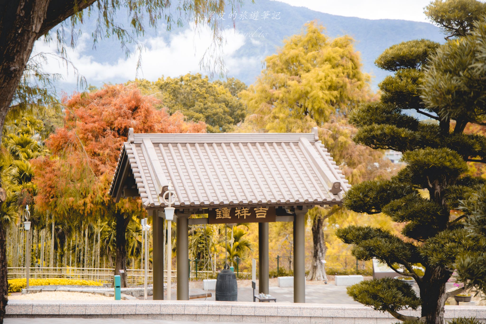 中台禪寺-普台公園｜七成旅人都不知道的夢幻落羽松秘境（免門票）。埔里景點/落羽松景點