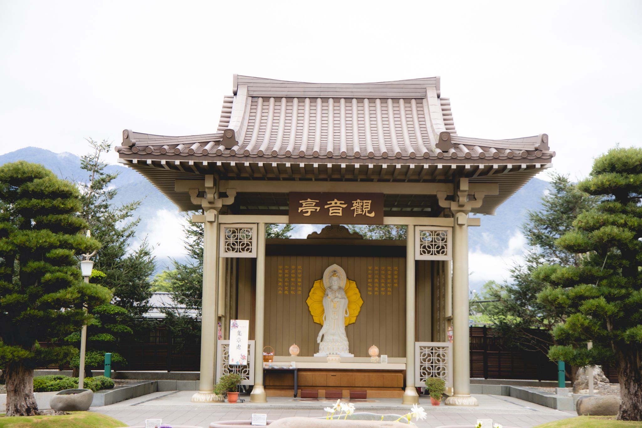 中台禪寺-普台公園｜七成旅人都不知道的夢幻落羽松秘境（免門票）。埔里景點/落羽松景點