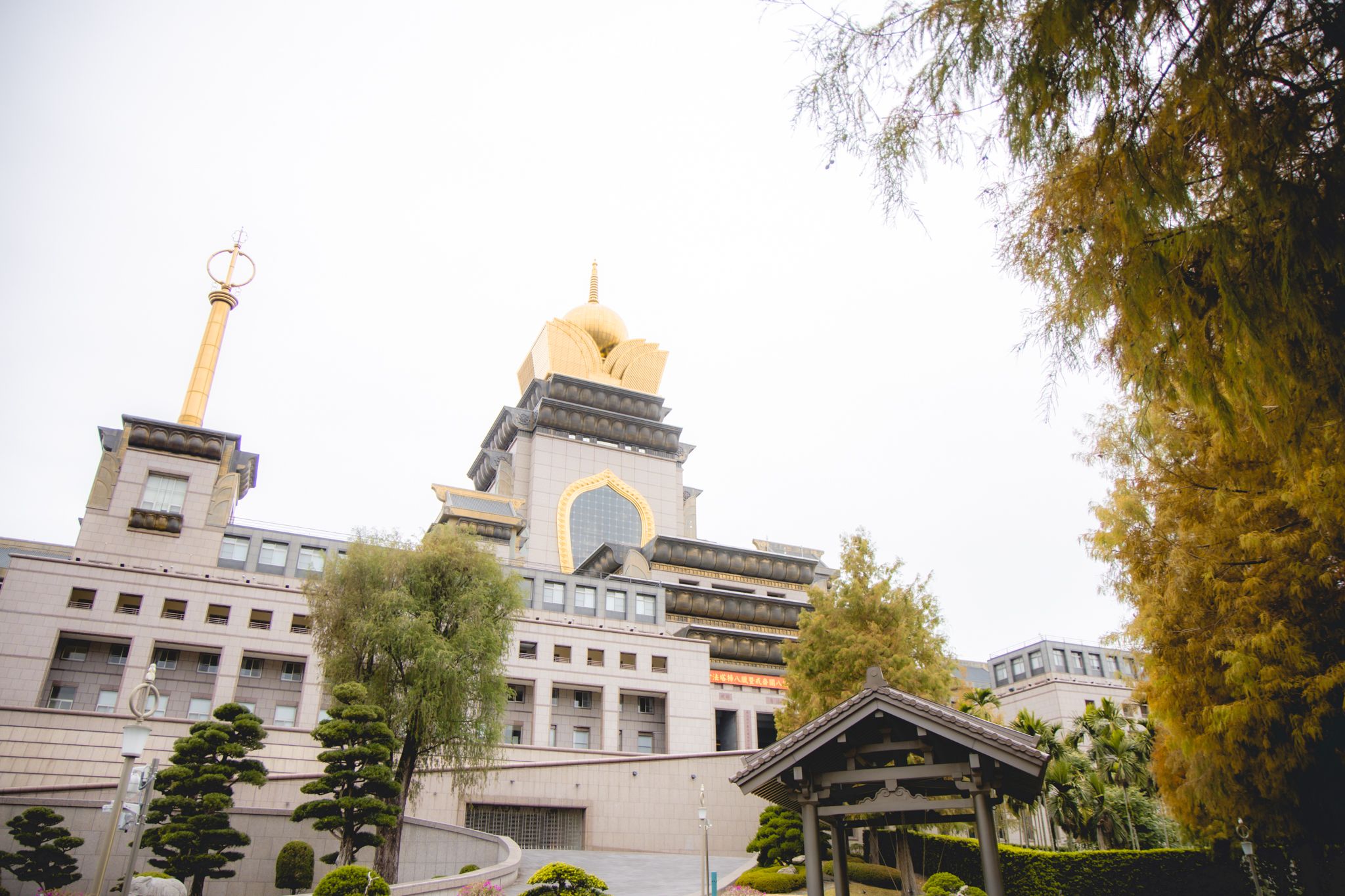 中台禪寺-普台公園｜七成旅人都不知道的夢幻落羽松秘境（免門票）。埔里景點/落羽松景點