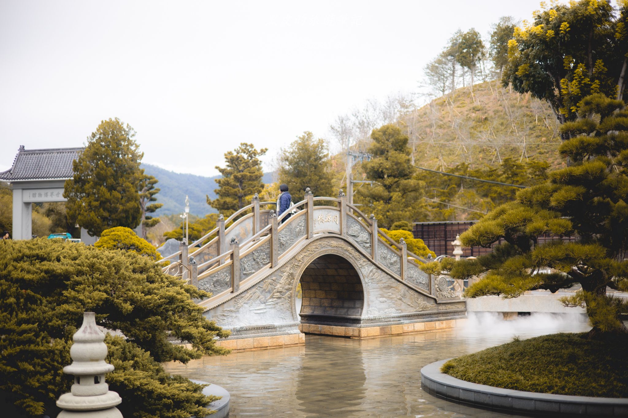 中台禪寺-普台公園｜七成旅人都不知道的夢幻落羽松秘境（免門票）。埔里景點/落羽松景點