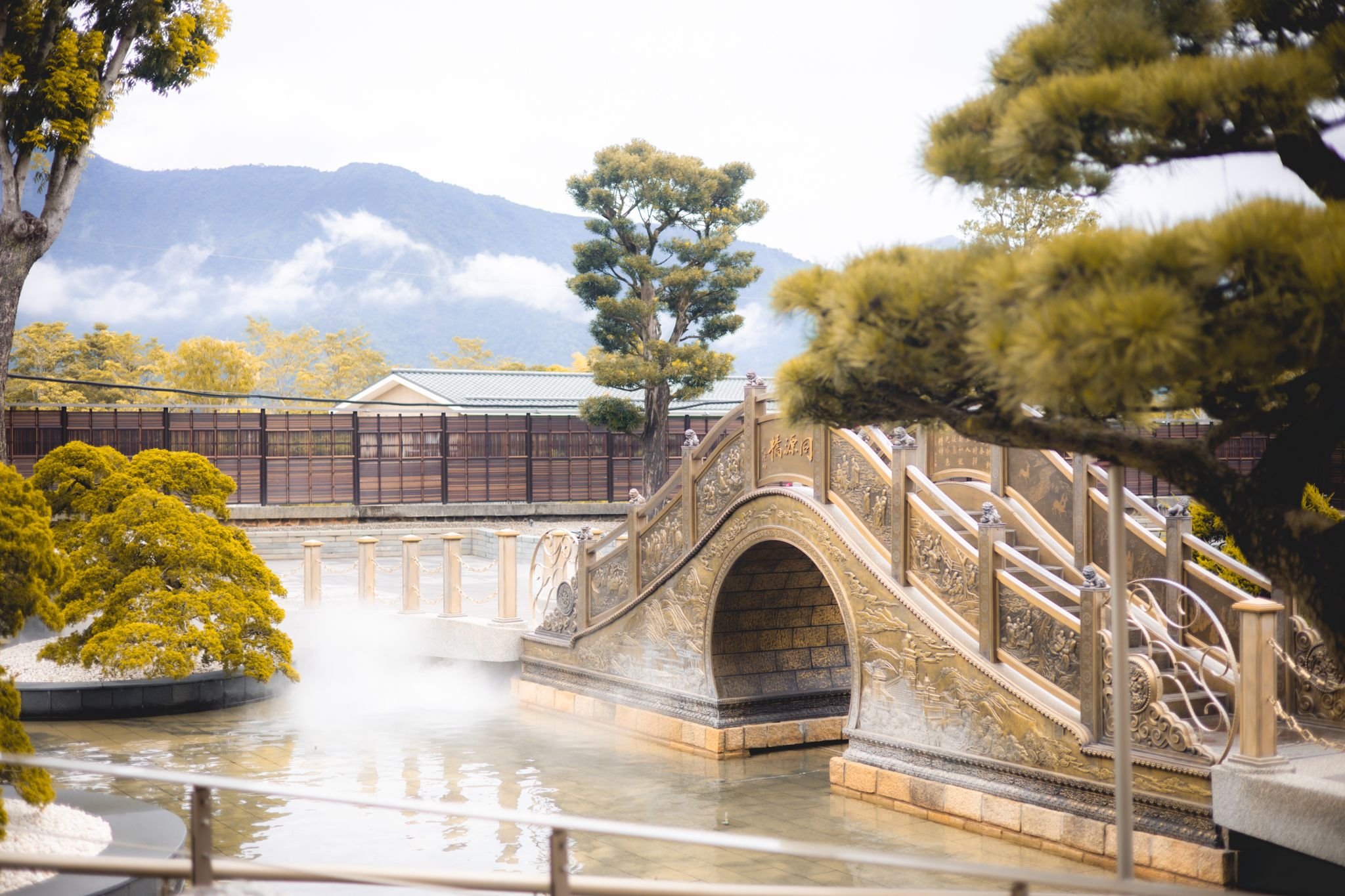 中台禪寺-普台公園｜七成旅人都不知道的夢幻落羽松秘境（免門票）。埔里景點/落羽松景點