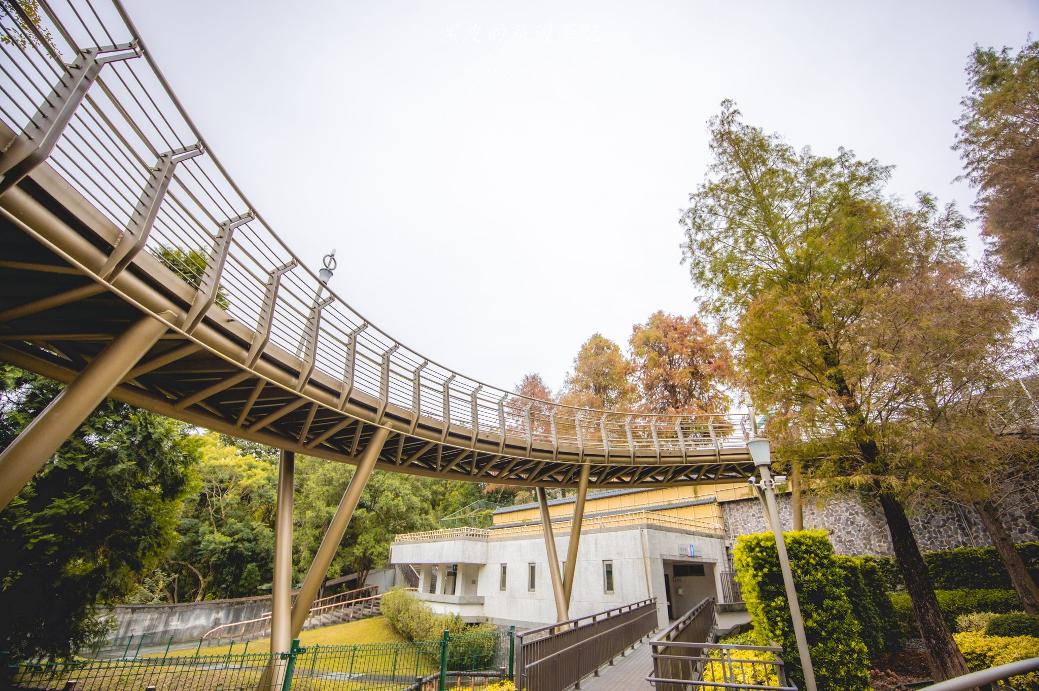 中台禪寺-普台公園｜七成旅人都不知道的夢幻落羽松秘境（免門票）。埔里景點/落羽松景點