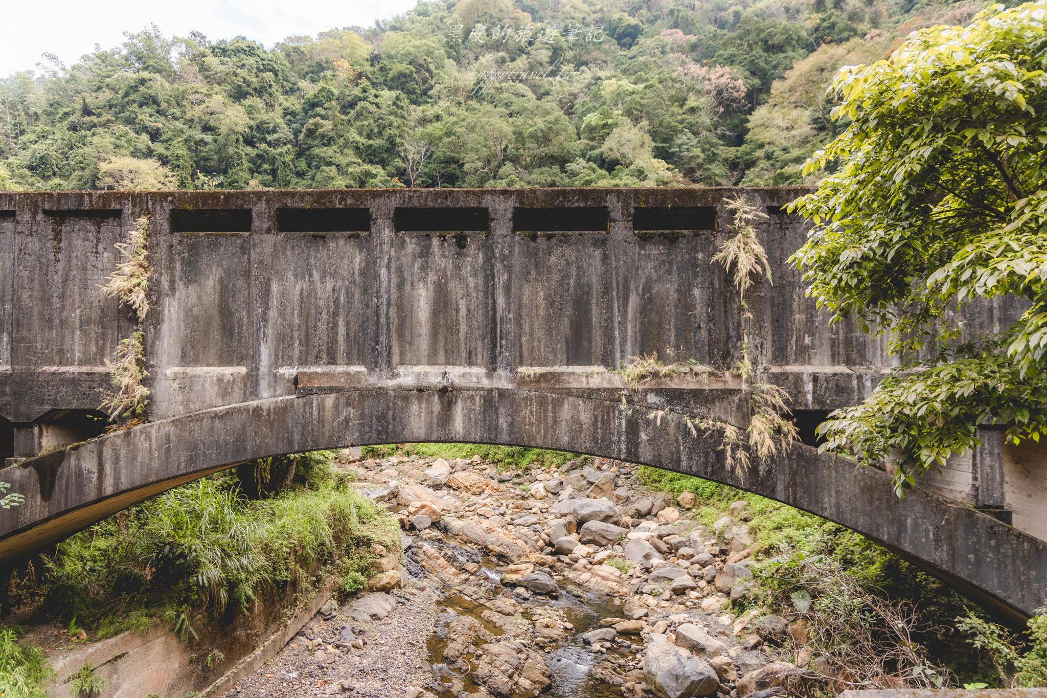 頭社水路橋｜日治昭和時期遺留下的遺跡，鬼斧神工的叢林秘境。水里景點