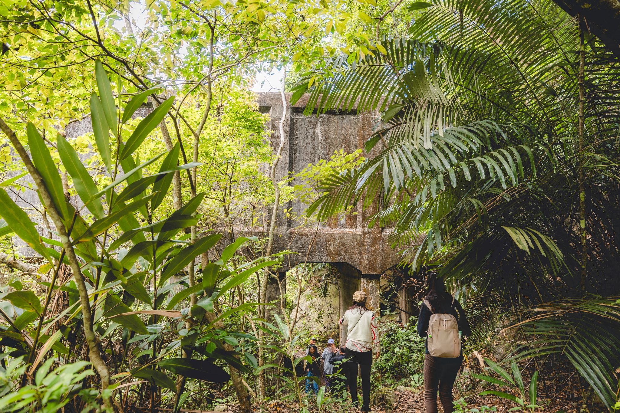 頭社水路橋｜日治昭和時期遺留下的遺跡，鬼斧神工的叢林秘境。水里景點