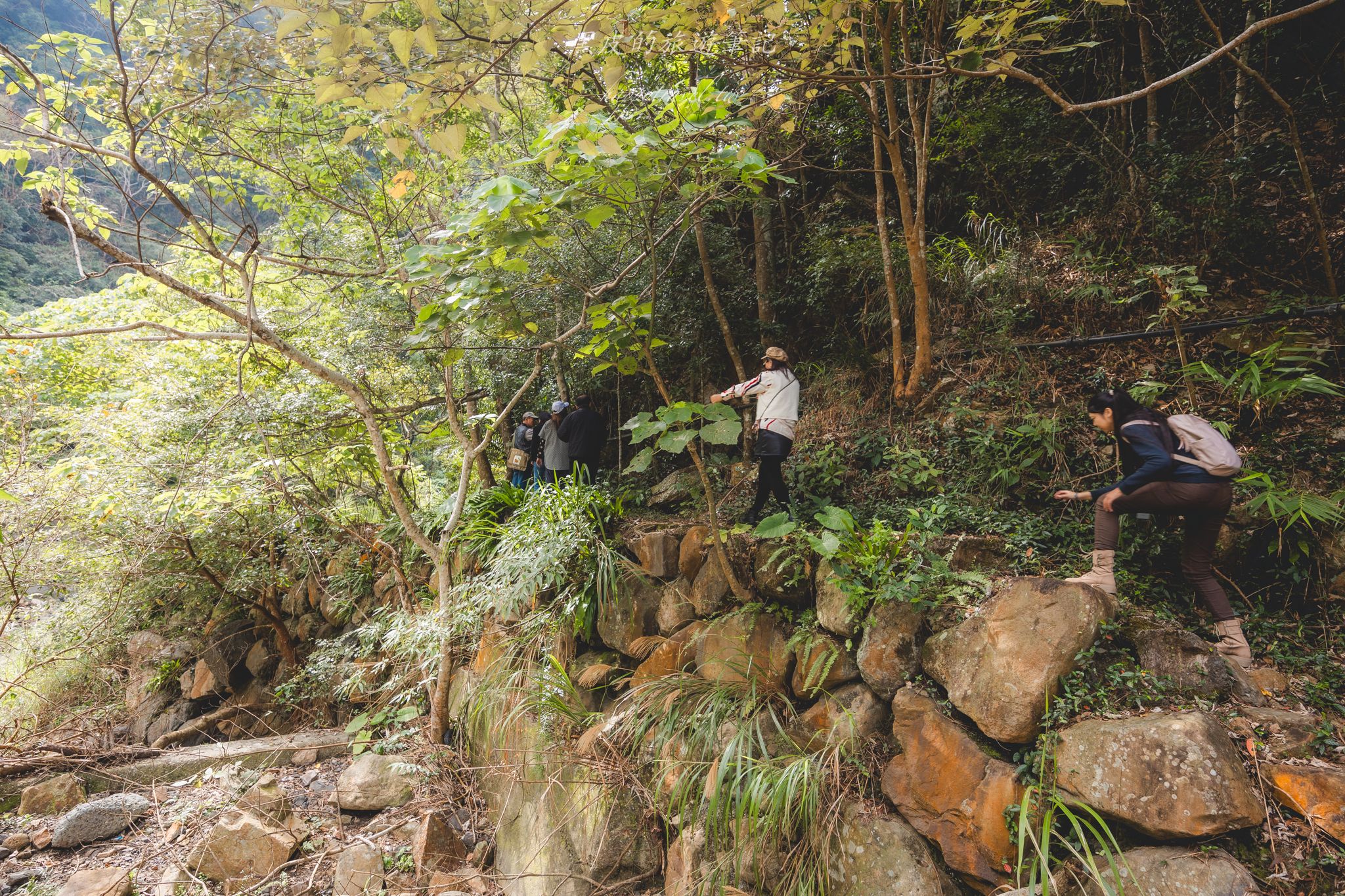 頭社水路橋｜日治昭和時期遺留下的遺跡，鬼斧神工的叢林秘境。水里景點