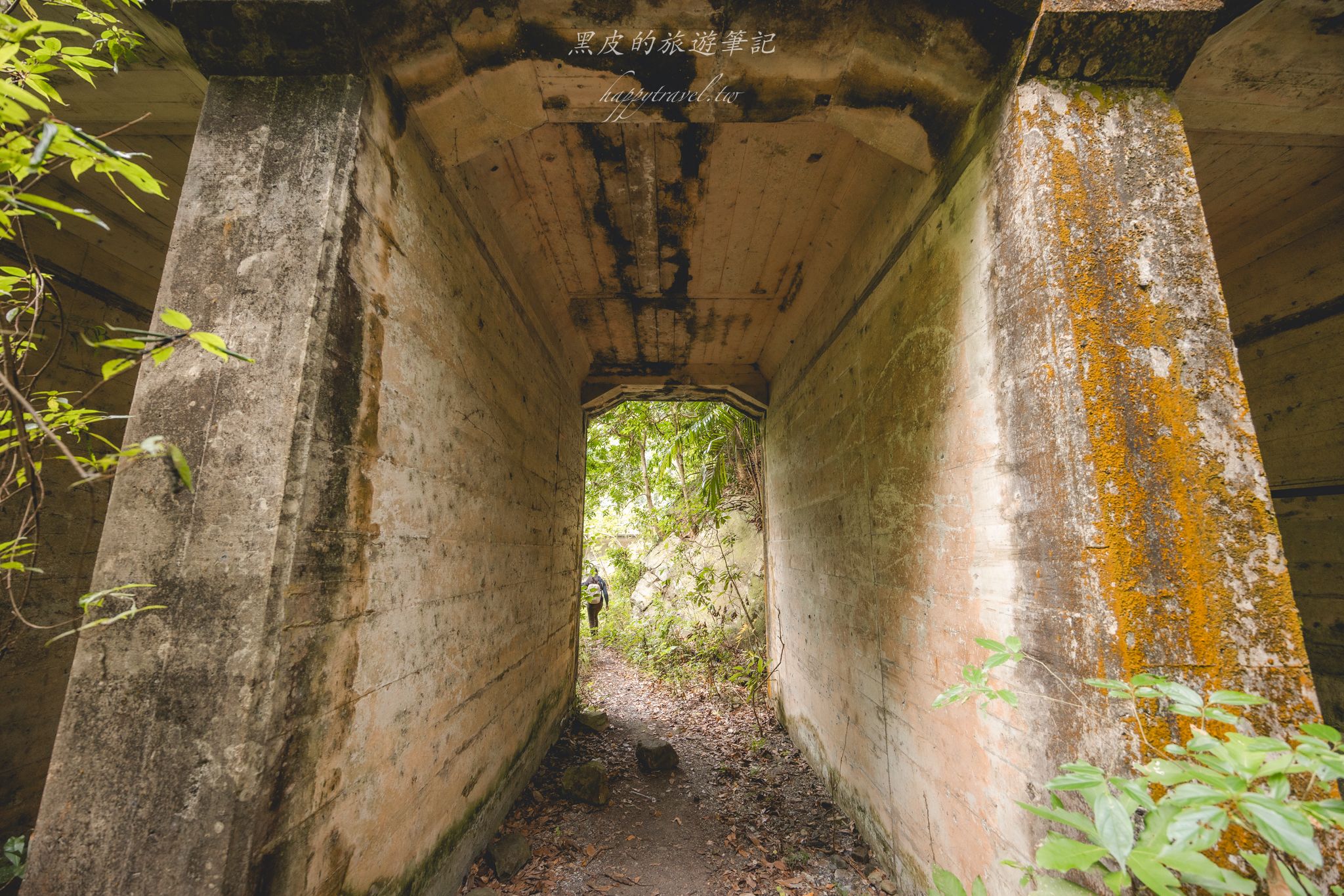 頭社水路橋｜日治昭和時期遺留下的遺跡，鬼斧神工的叢林秘境。水里景點