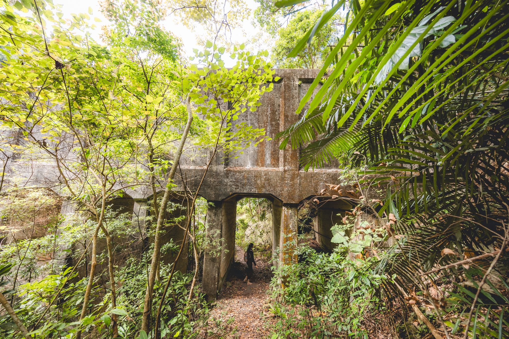 頭社水路橋｜日治昭和時期遺留下的遺跡，鬼斧神工的叢林秘境。水里景點