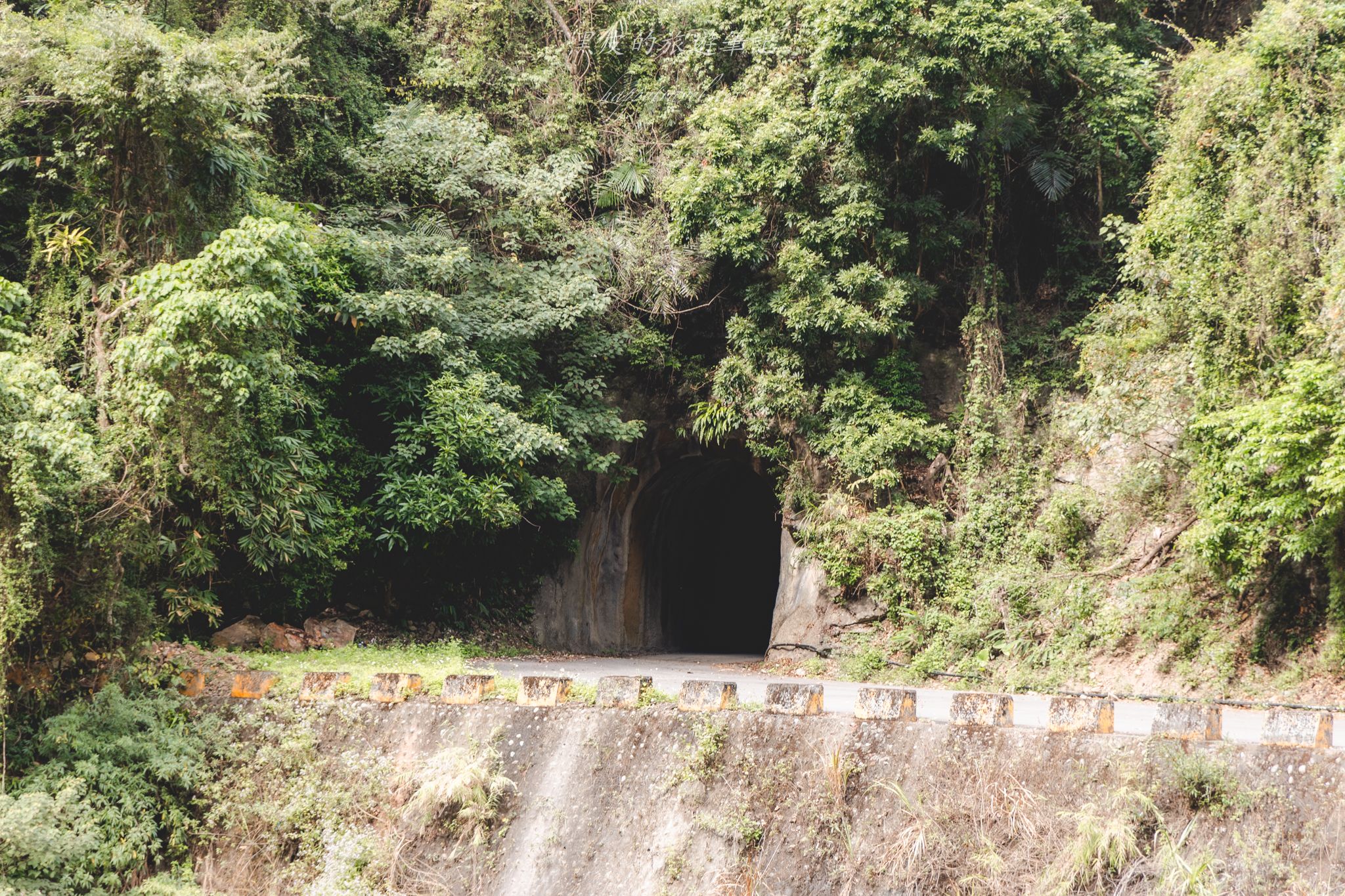 頭社水路橋｜日治昭和時期遺留下的遺跡，鬼斧神工的叢林秘境。水里景點