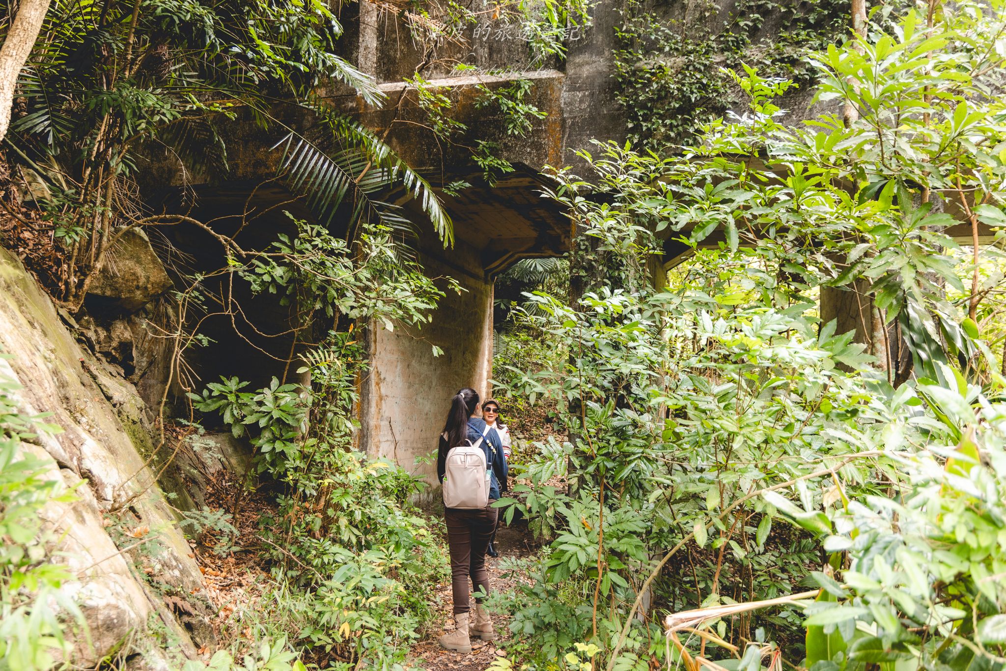 頭社水路橋｜日治昭和時期遺留下的遺跡，鬼斧神工的叢林秘境。水里景點