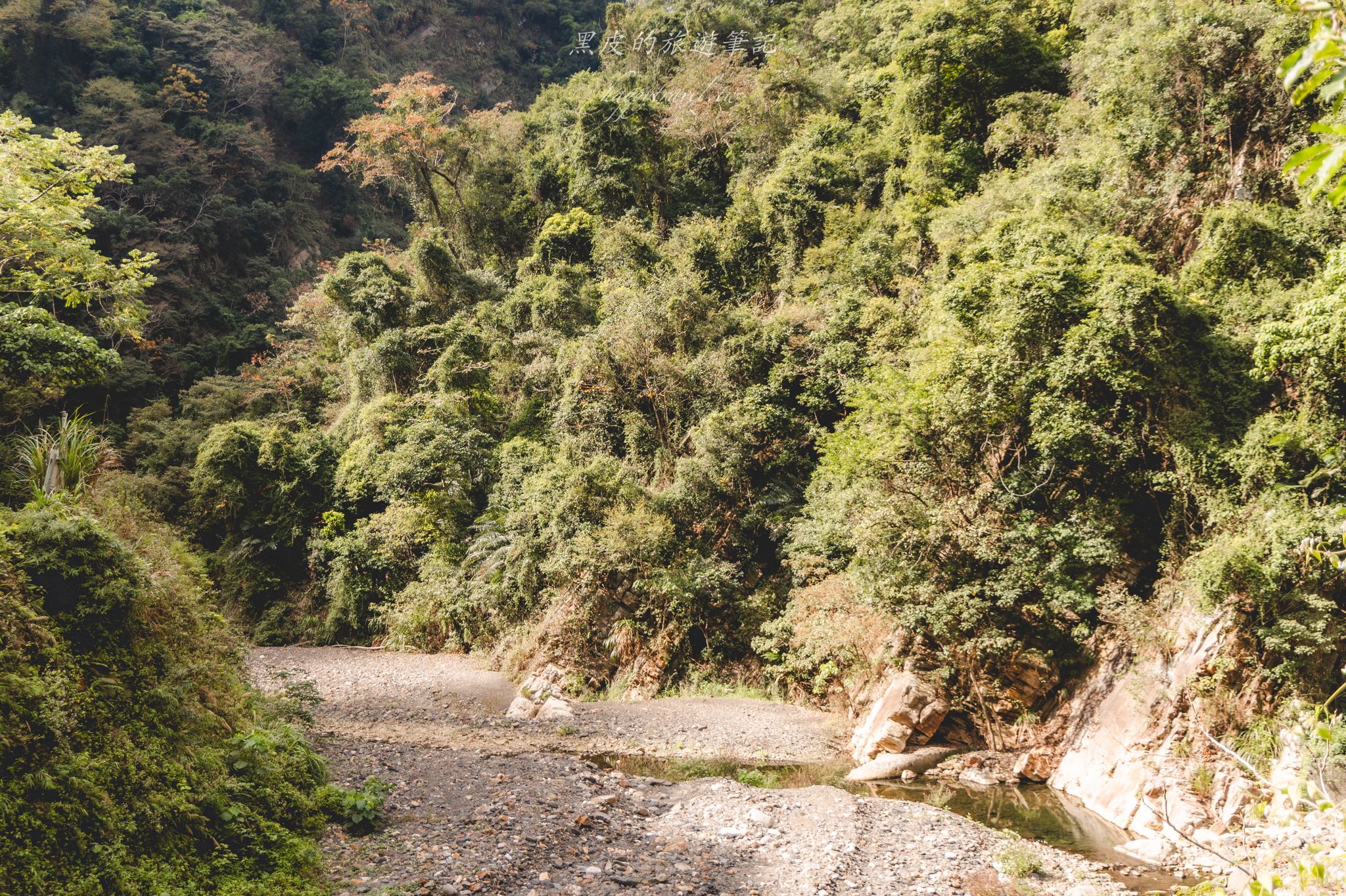 頭社水路橋｜日治昭和時期遺留下的遺跡，鬼斧神工的叢林秘境。水里景點