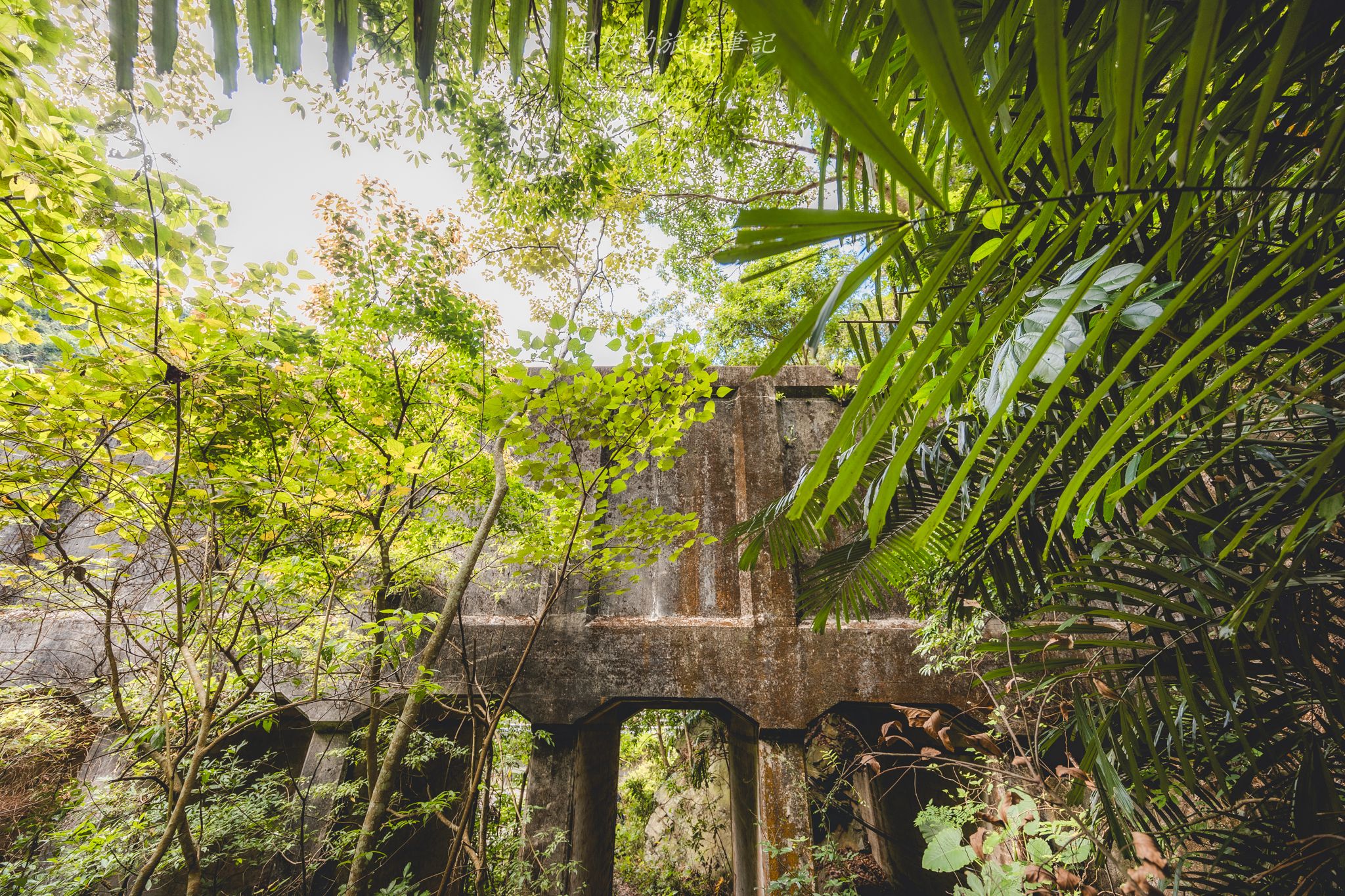 頭社水路橋｜日治昭和時期遺留下的遺跡，鬼斧神工的叢林秘境。水里景點