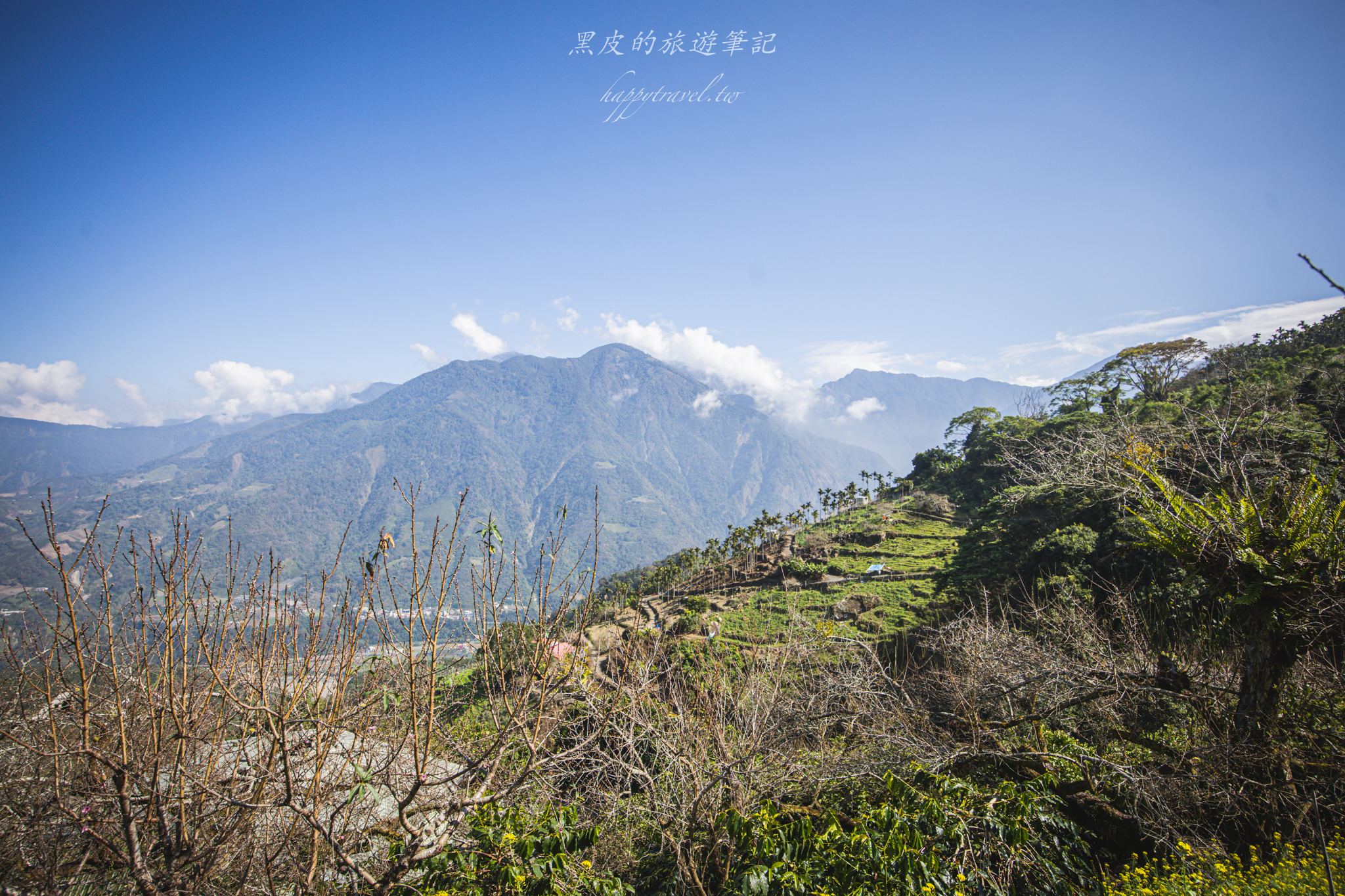 聿仙山莊｜全台最高的梅王群秘境。賞梅景點推薦/信義景點