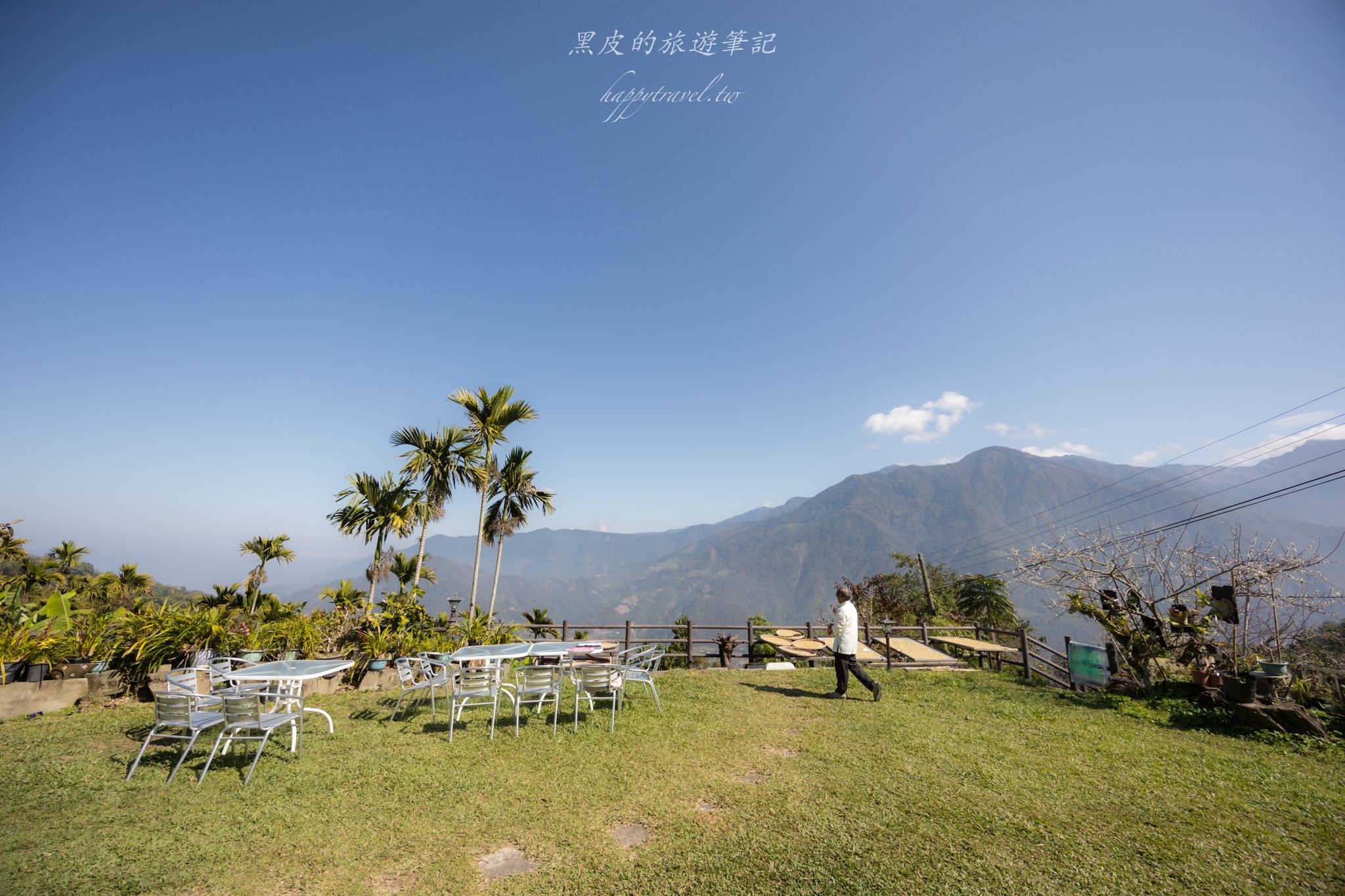 聿仙山莊｜全台最高的梅王群秘境。賞梅景點推薦/信義景點