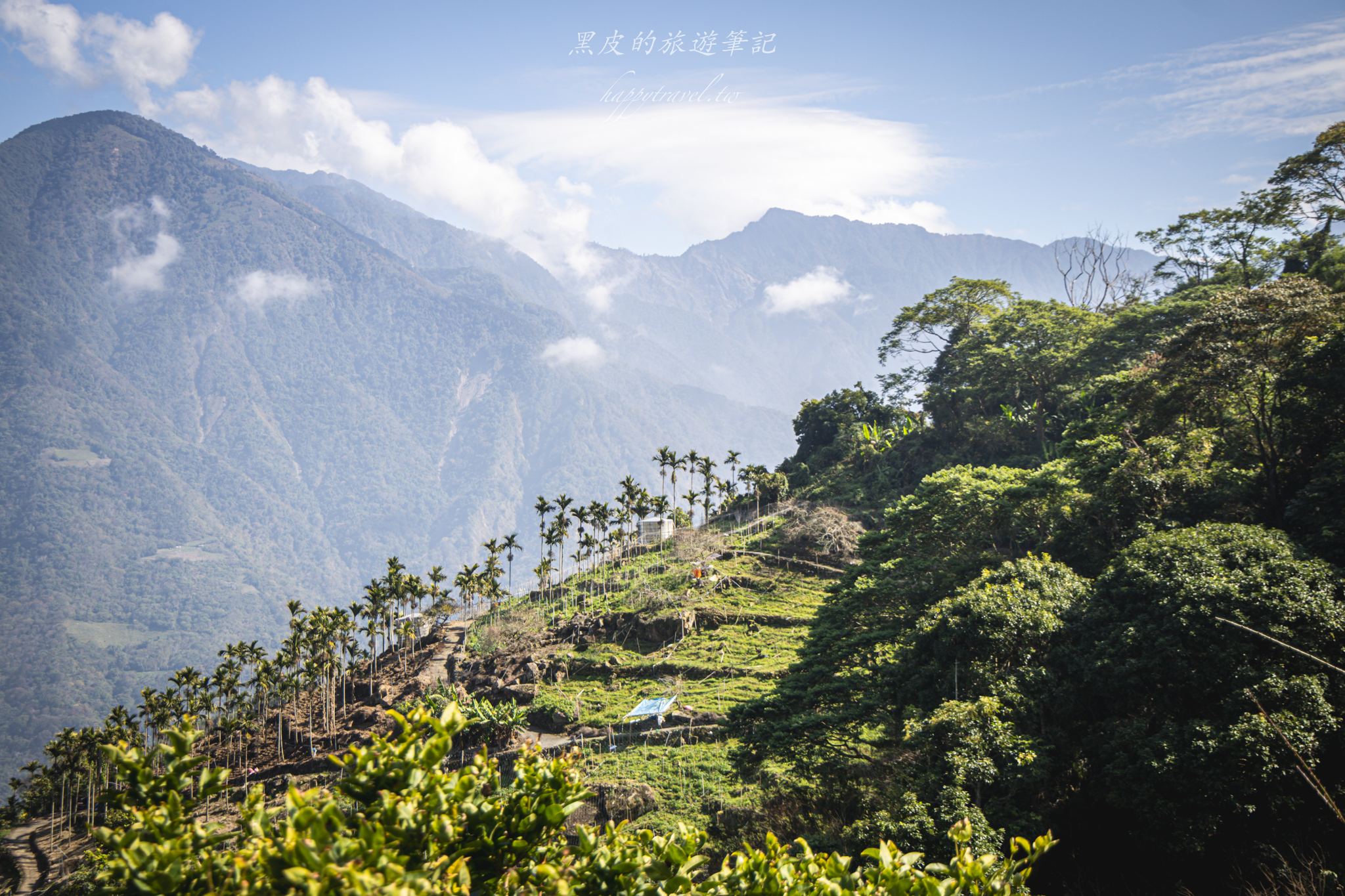 聿仙山莊｜全台最高的梅王群秘境。賞梅景點推薦/信義景點