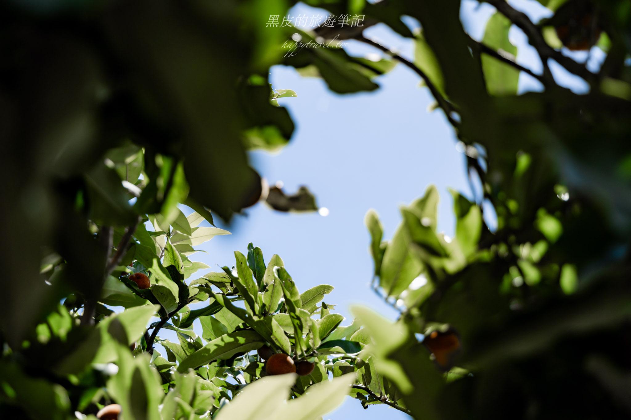 長濱一日遊｜愜意小鎮散策，感受太平洋邊的詩意日常