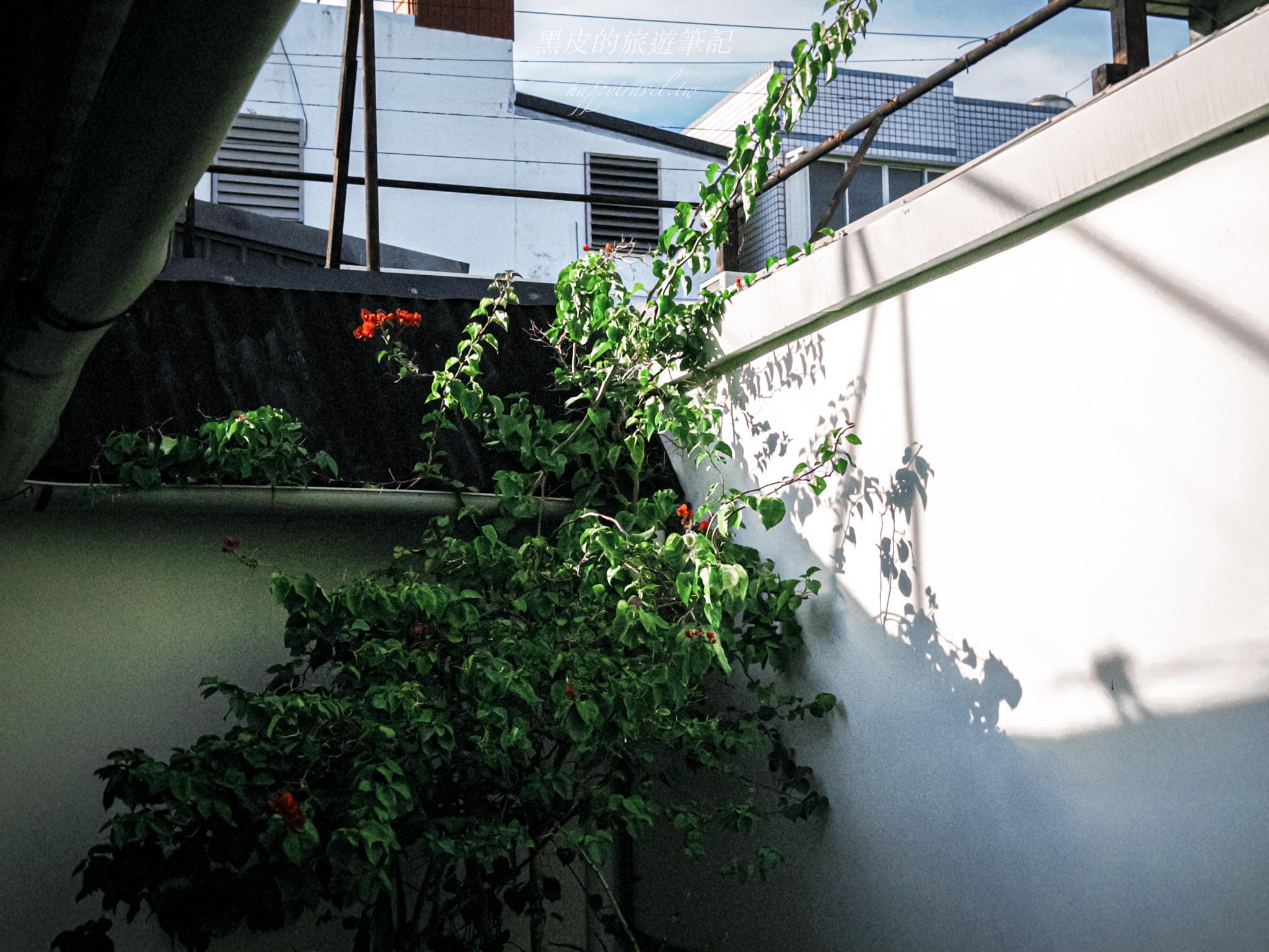 新城照相館｜花蓮新城景點，走進時光深處的歷史照相館