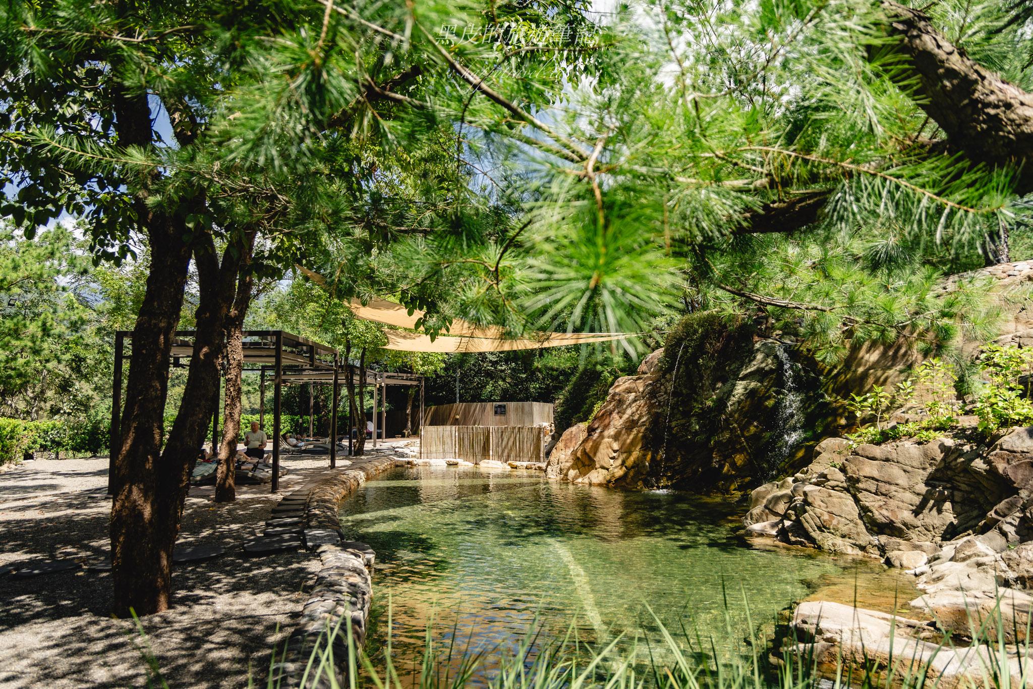 春秋山林｜春水堂全新山林園區，茶香、足浴與自然秘境的結合，國姓新景點