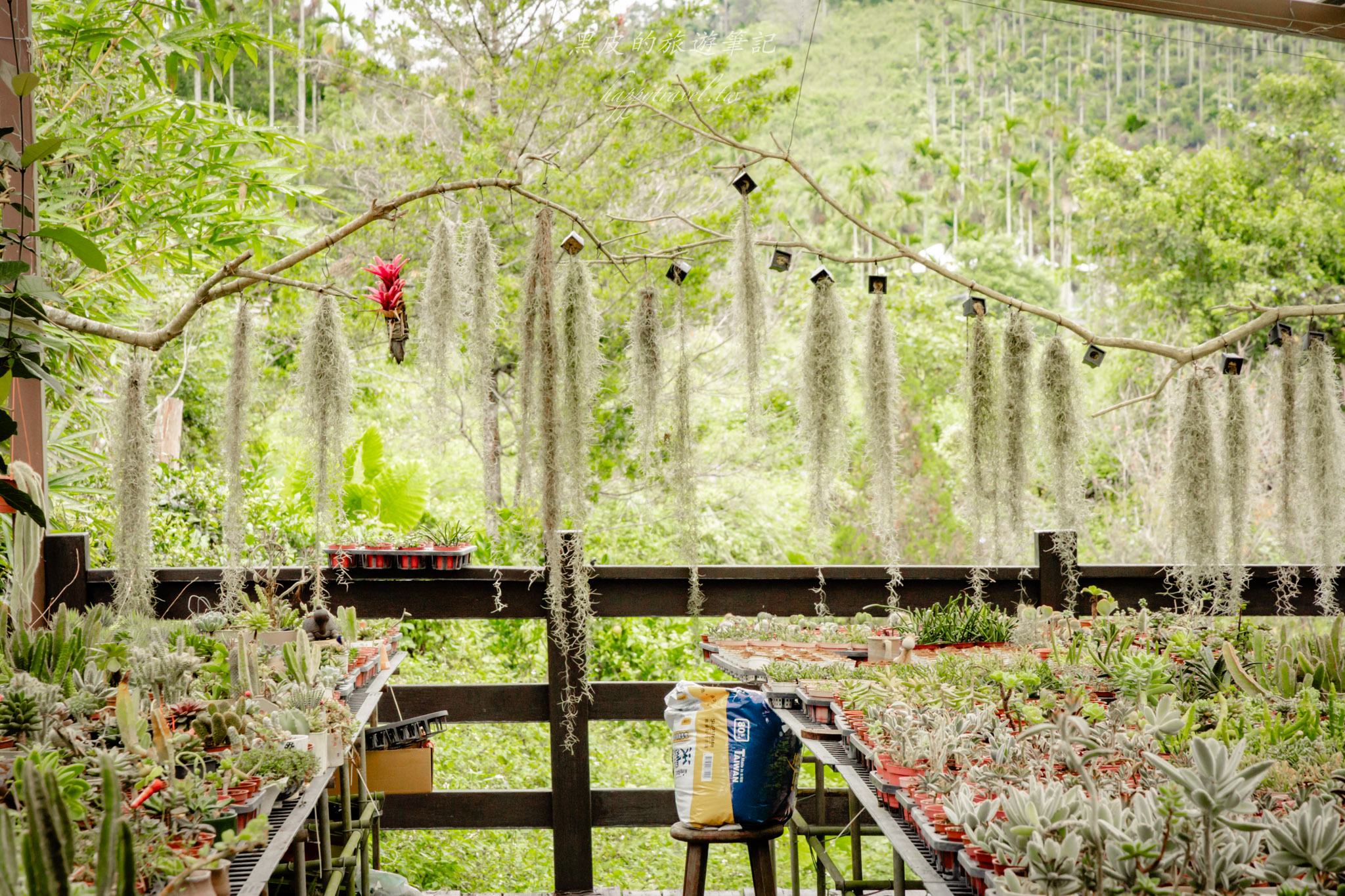 澀水皇茶｜日月潭最多樣好玩的DIY茶園，還有超精緻的日月潭紅茶料理。日月潭親子行程