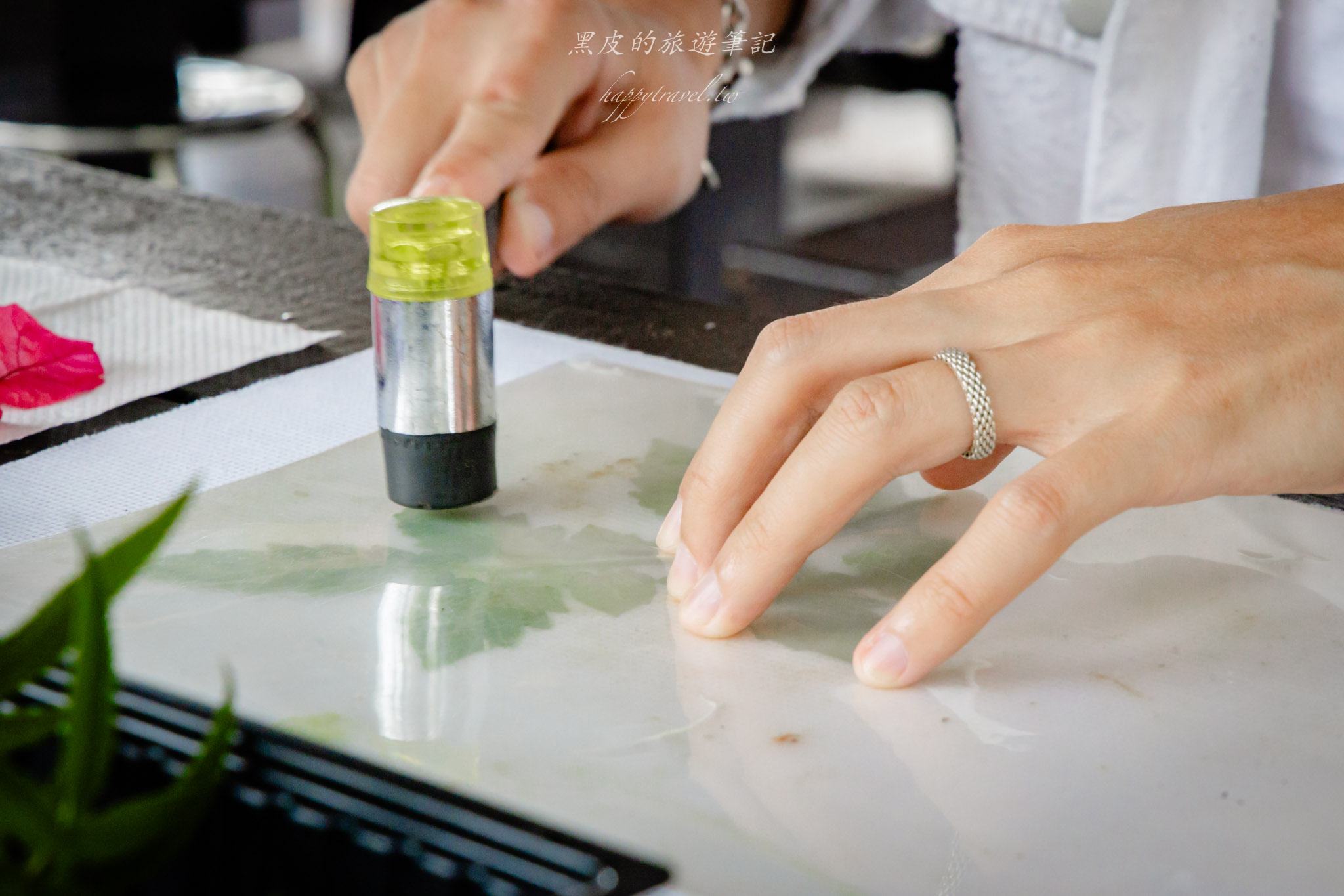 澀水皇茶｜日月潭最多樣好玩的DIY茶園，還有超精緻的日月潭紅茶料理。日月潭親子行程