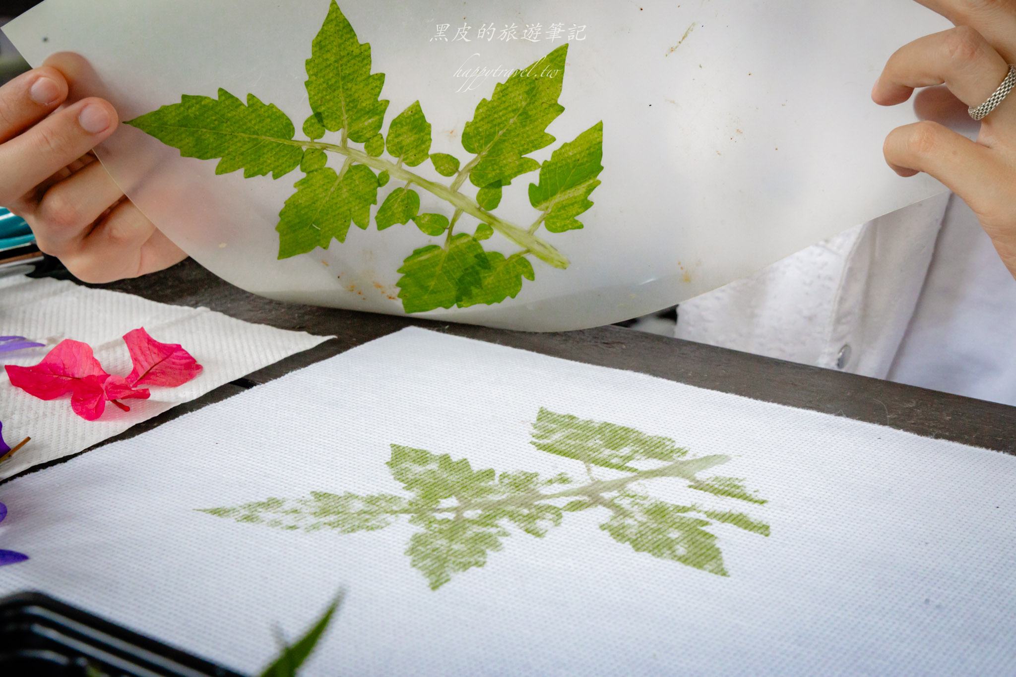 澀水皇茶｜日月潭最多樣好玩的DIY茶園，還有超精緻的日月潭紅茶料理。日月潭親子行程