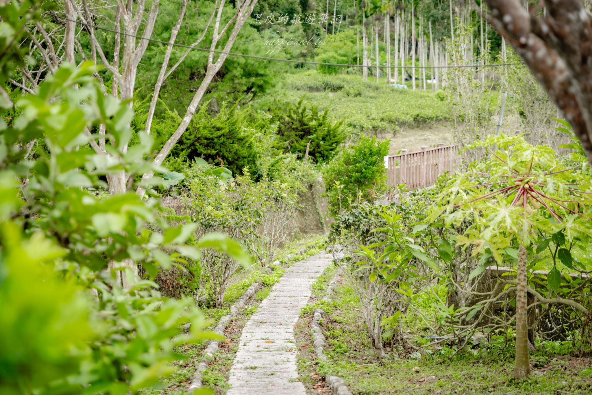澀水皇茶｜日月潭最多樣好玩的DIY茶園，還有超精緻的日月潭紅茶料理。日月潭親子行程